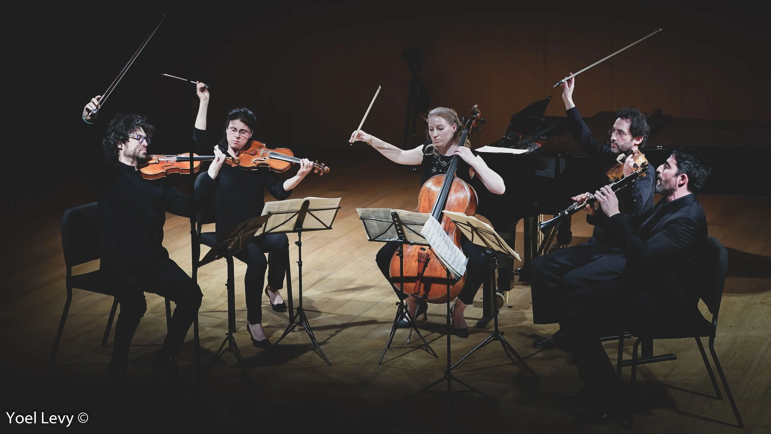 Israeli Chamber Project performing live onstage with strings, clarinet, and piano in a concert photograph by Yoel Levy.