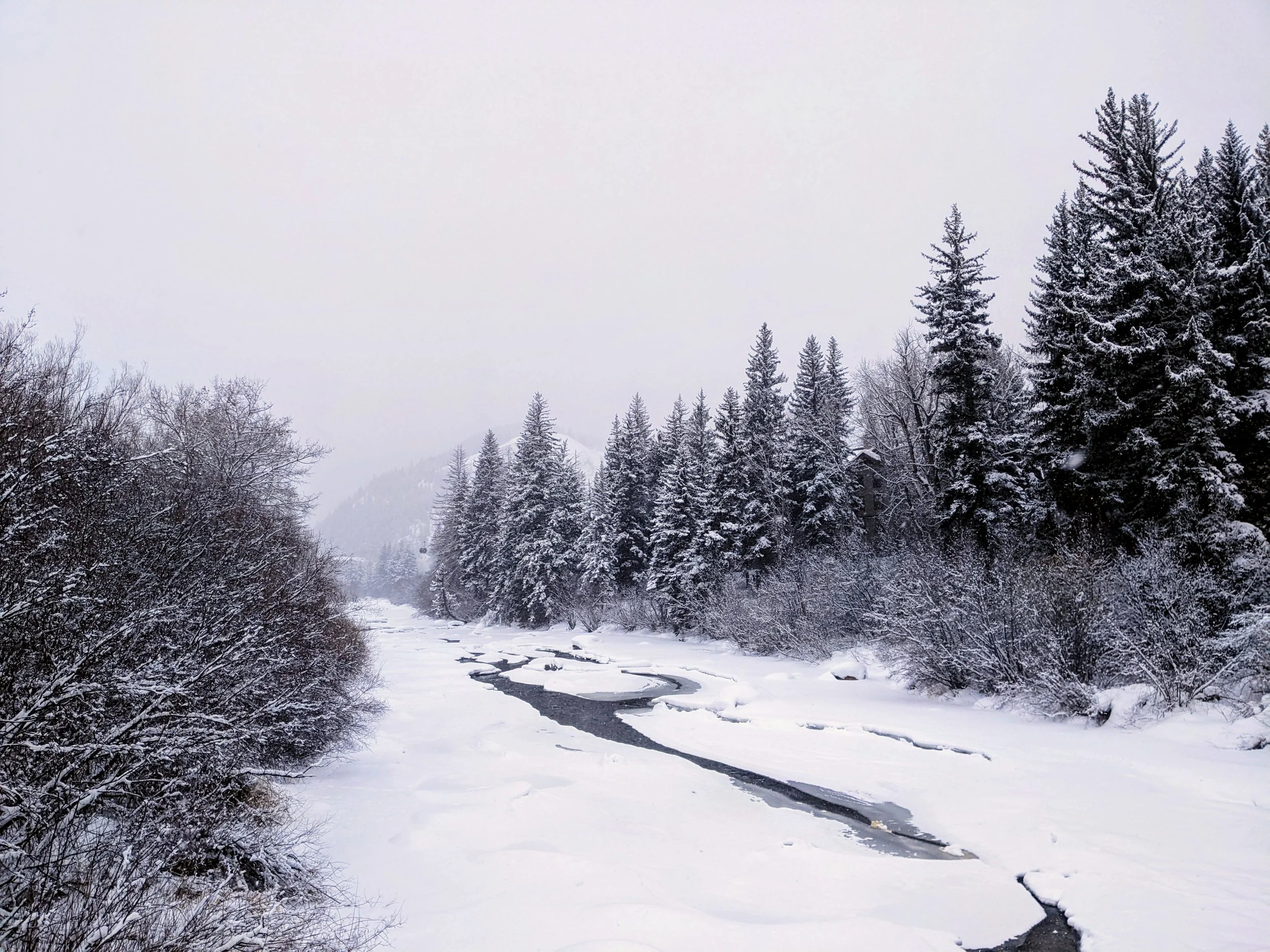 Coping with SAD this fall and winter