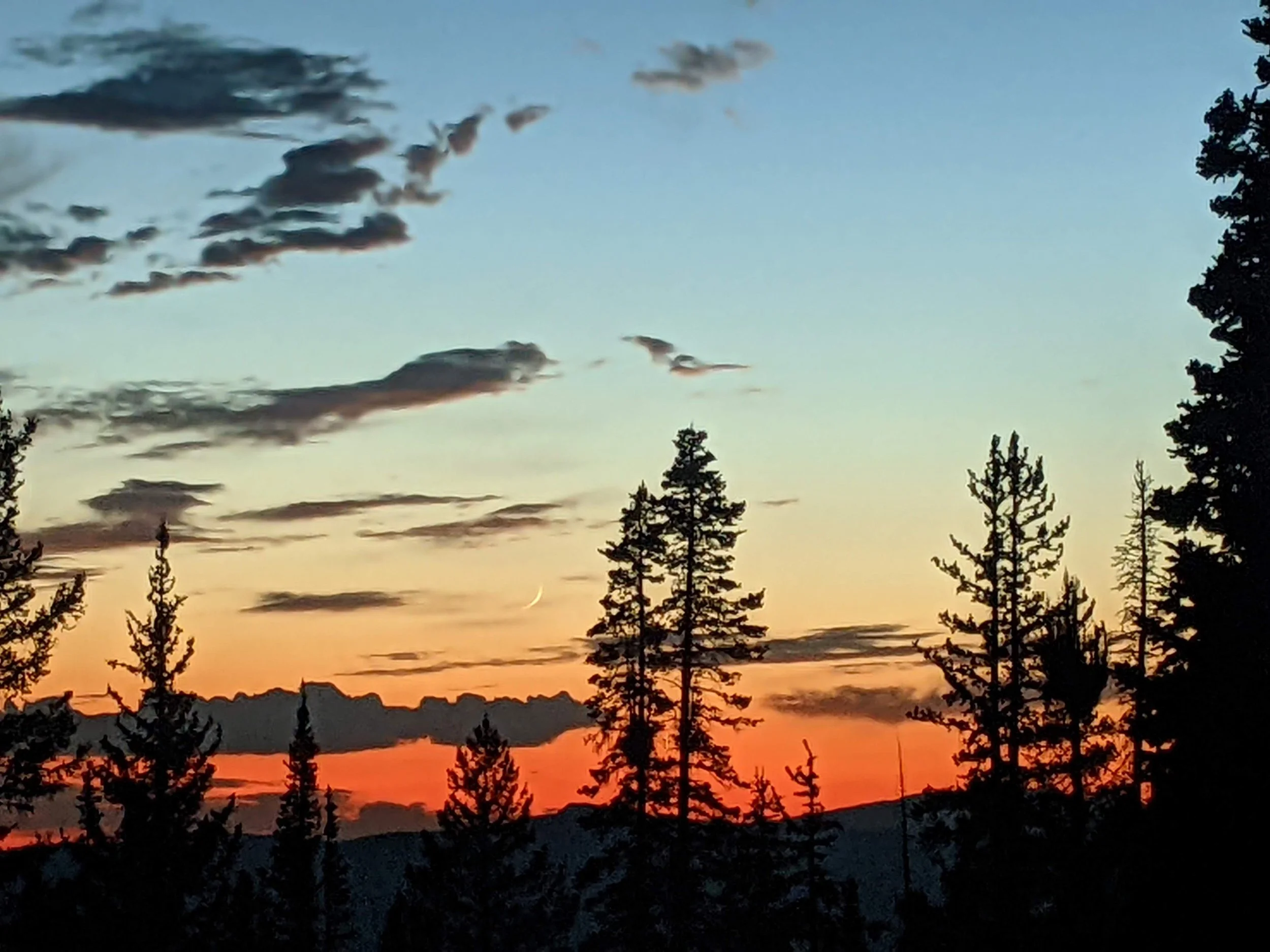 Sunset sky with scattered clouds and silhouettes of trees in the foreground.