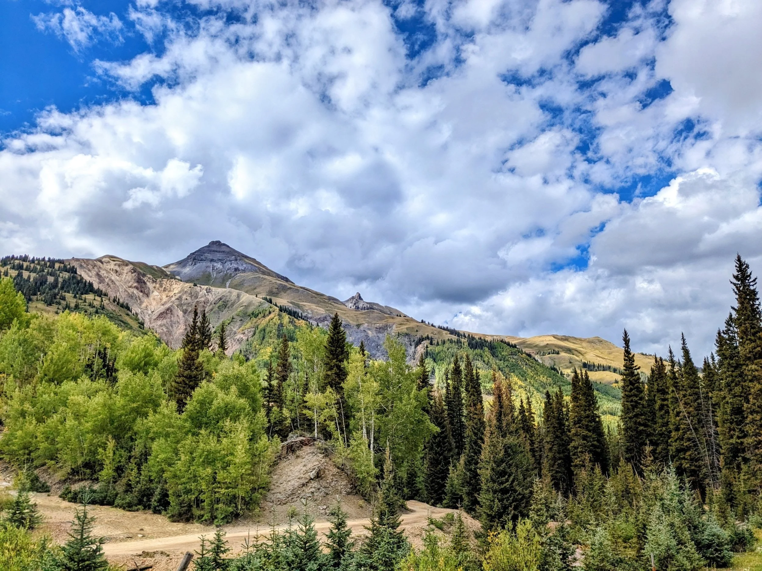 A scenic view of a mountainous landscape with a forest of green trees in the foreground, rocky mountain peaks in the middle ground, and a blue sky with scattered white clouds above.