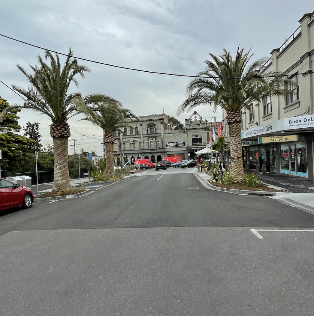 A street scene with palm trees lining both sides, parked cars, and a historic-looking building in the background. There are commercial storefronts on the right, including an osteopathic clinic, and a few people walking.