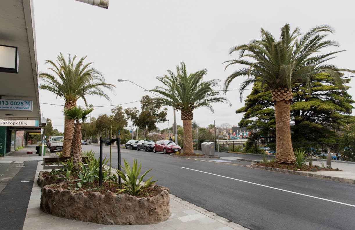 A street view with palm trees, parked cars, and a cloudy sky in a coastal town.