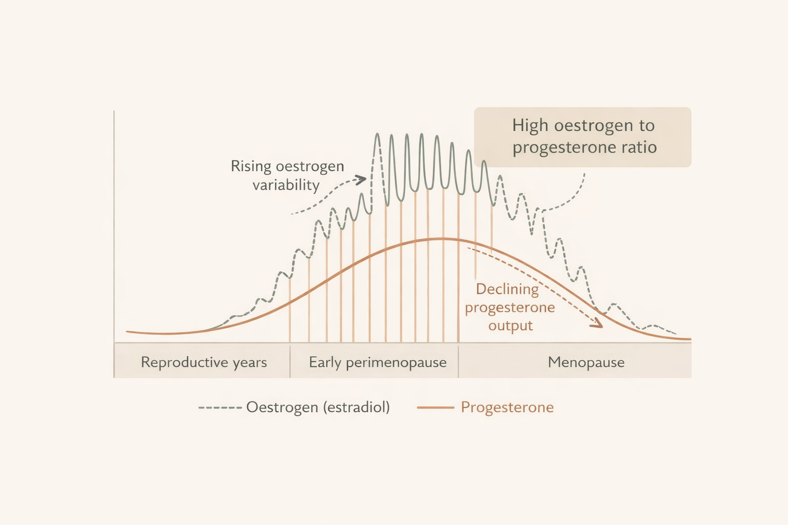 perimenopause-oestrogen-progesterone-graph.png