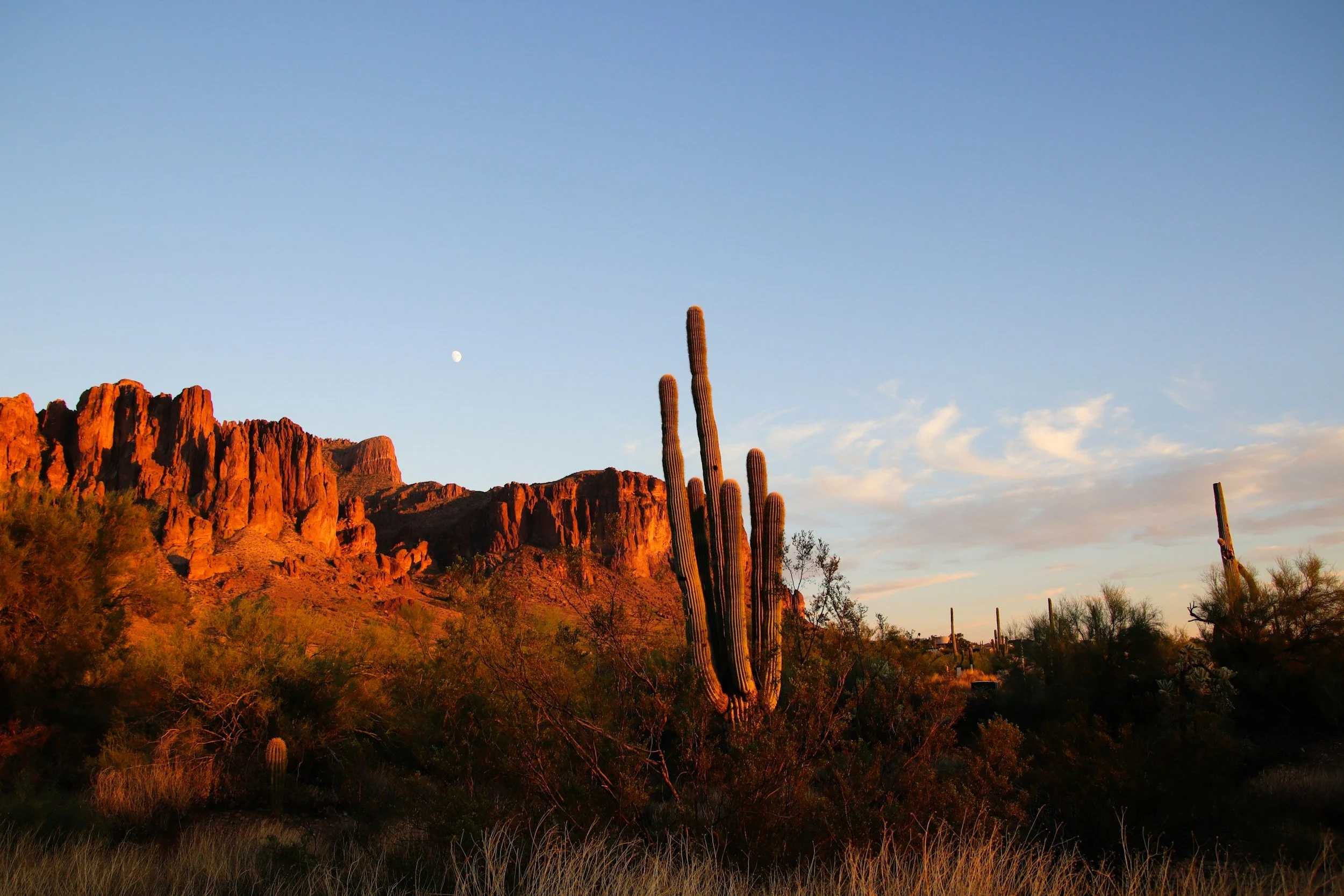 Trauma, OCD, Anxiety, Gay therapy in Arizona