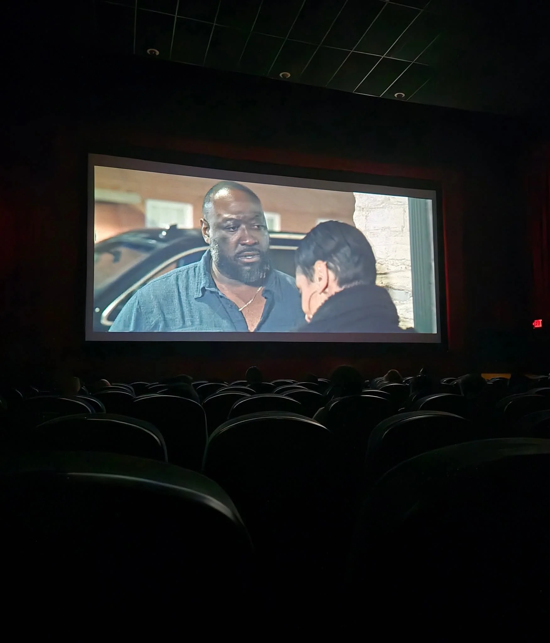 The image shows an audience watching a movie in a dark theater. The movie scene on the screen features a man with a beard and a woman with dark hair, engaged in a conversation outdoors.
