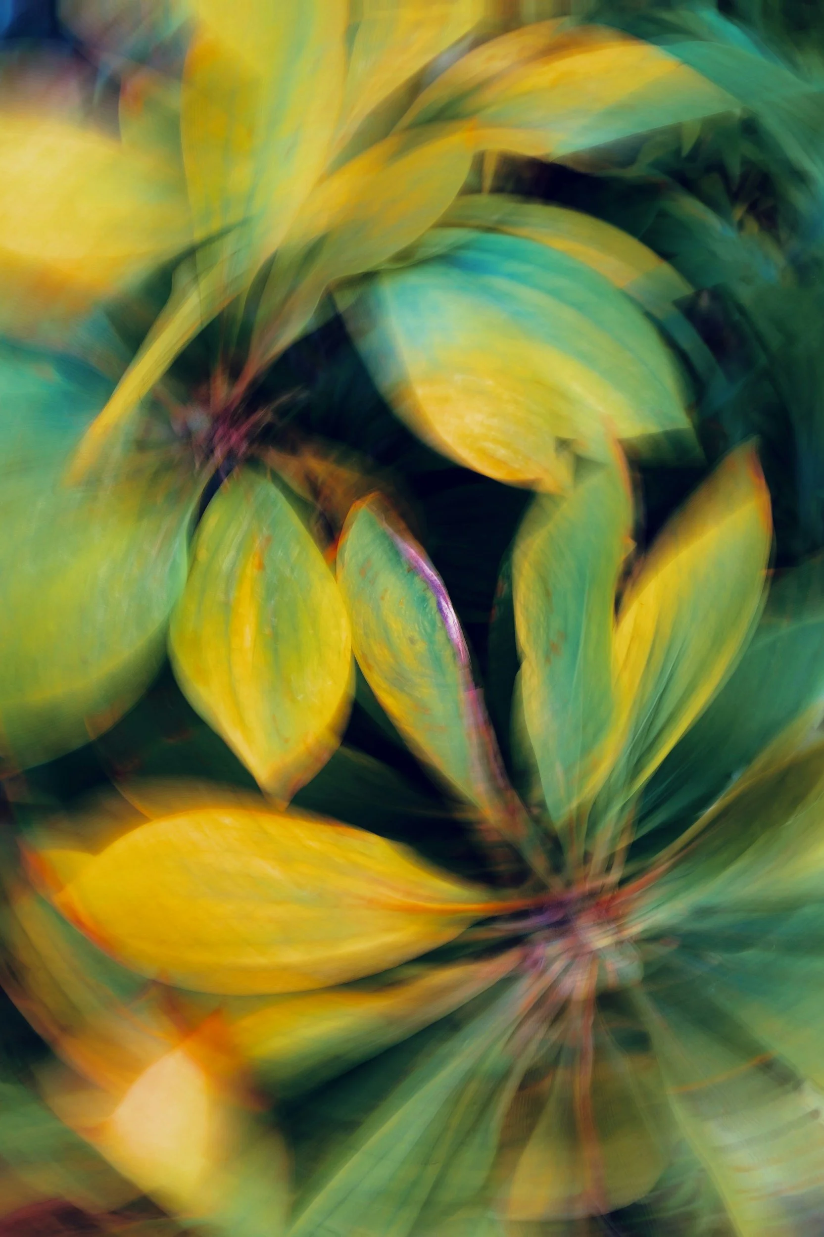 Blurred, colorful leaves in green, yellow, and orange hues.