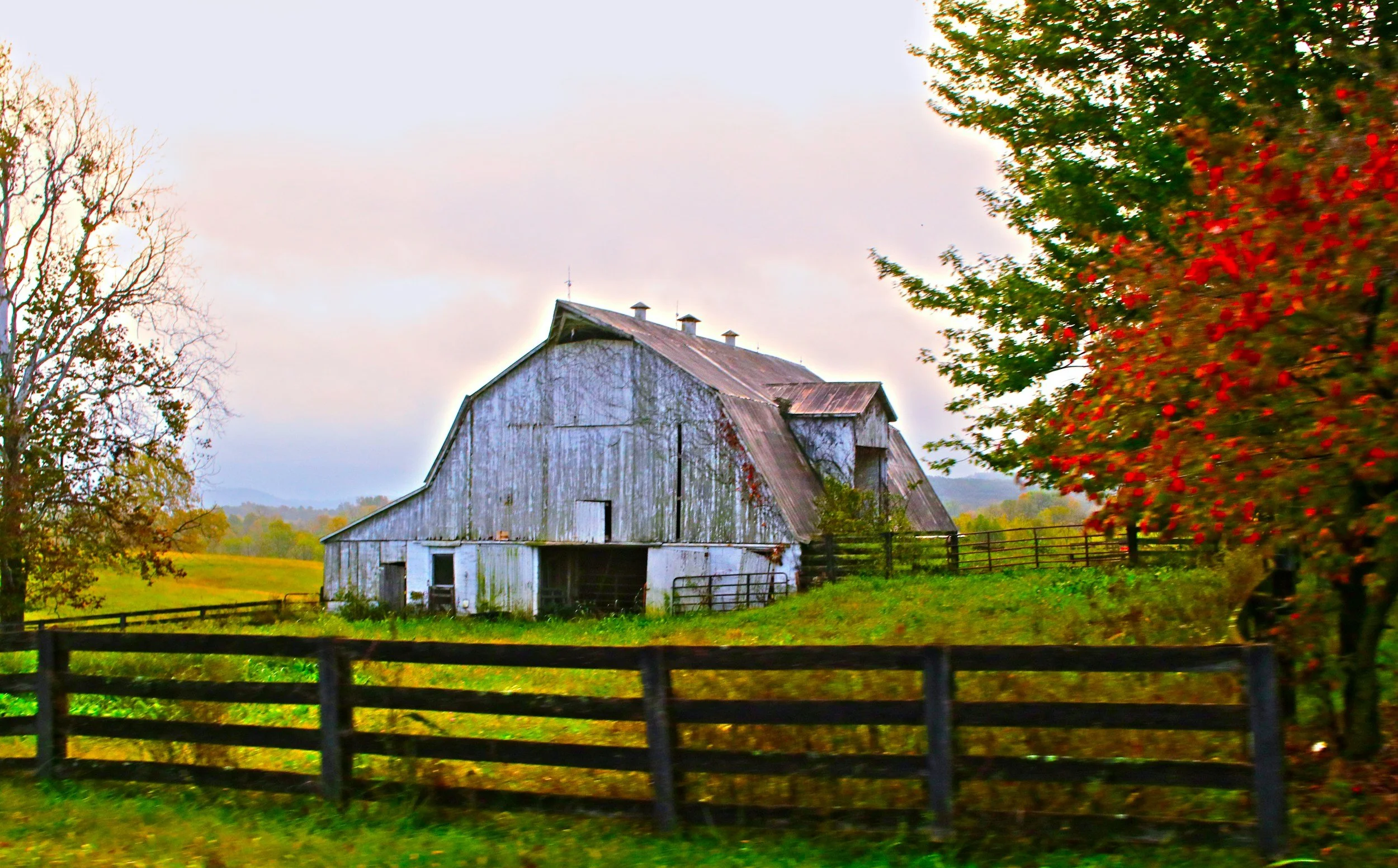An old, weathered wooden barn with a rusted metal roof in a rural landscape, surrounded by green grass, trees, and a black wooden fence, with an overcast sky in the background.