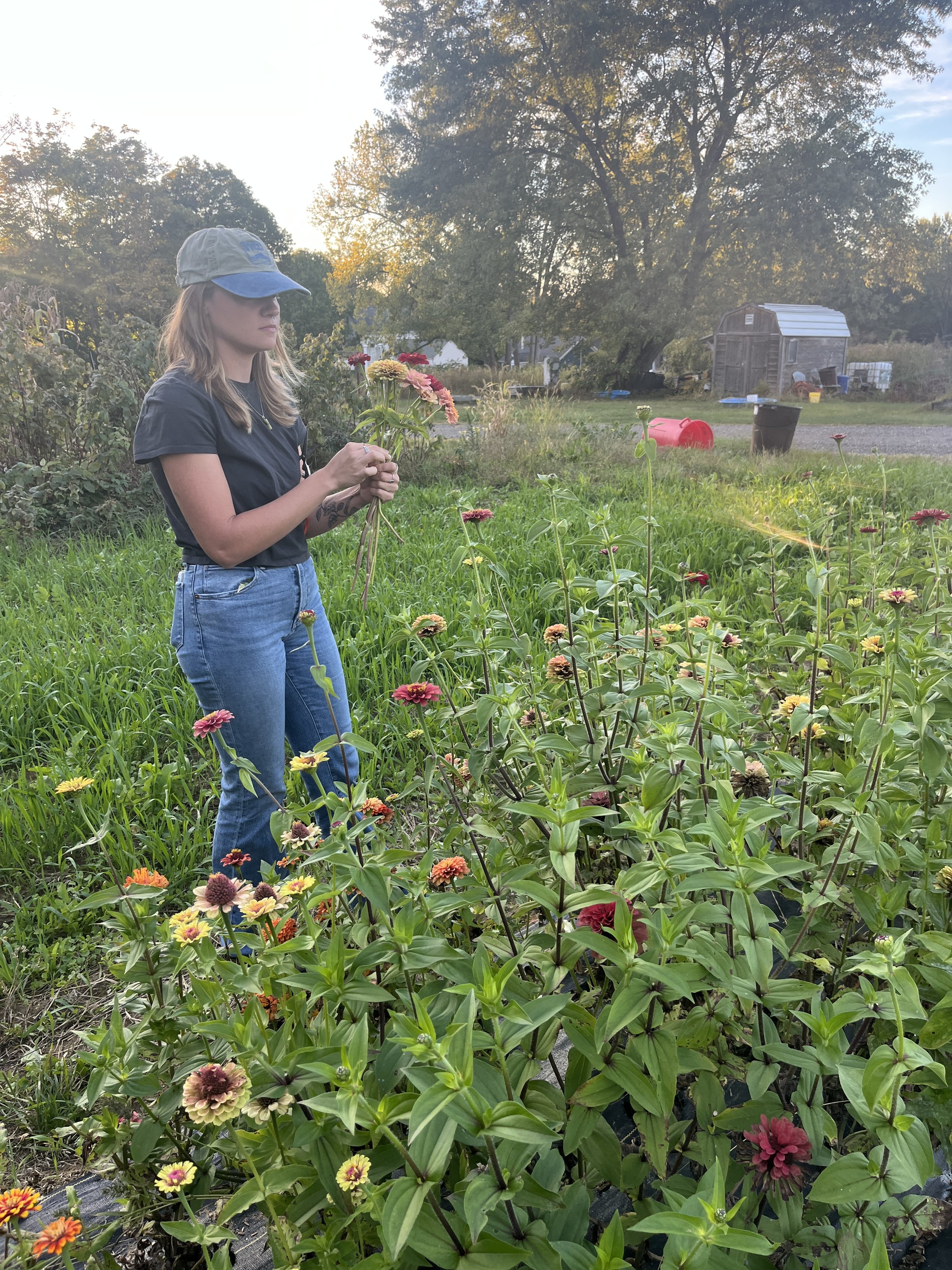 harvesting.flowers.JPG