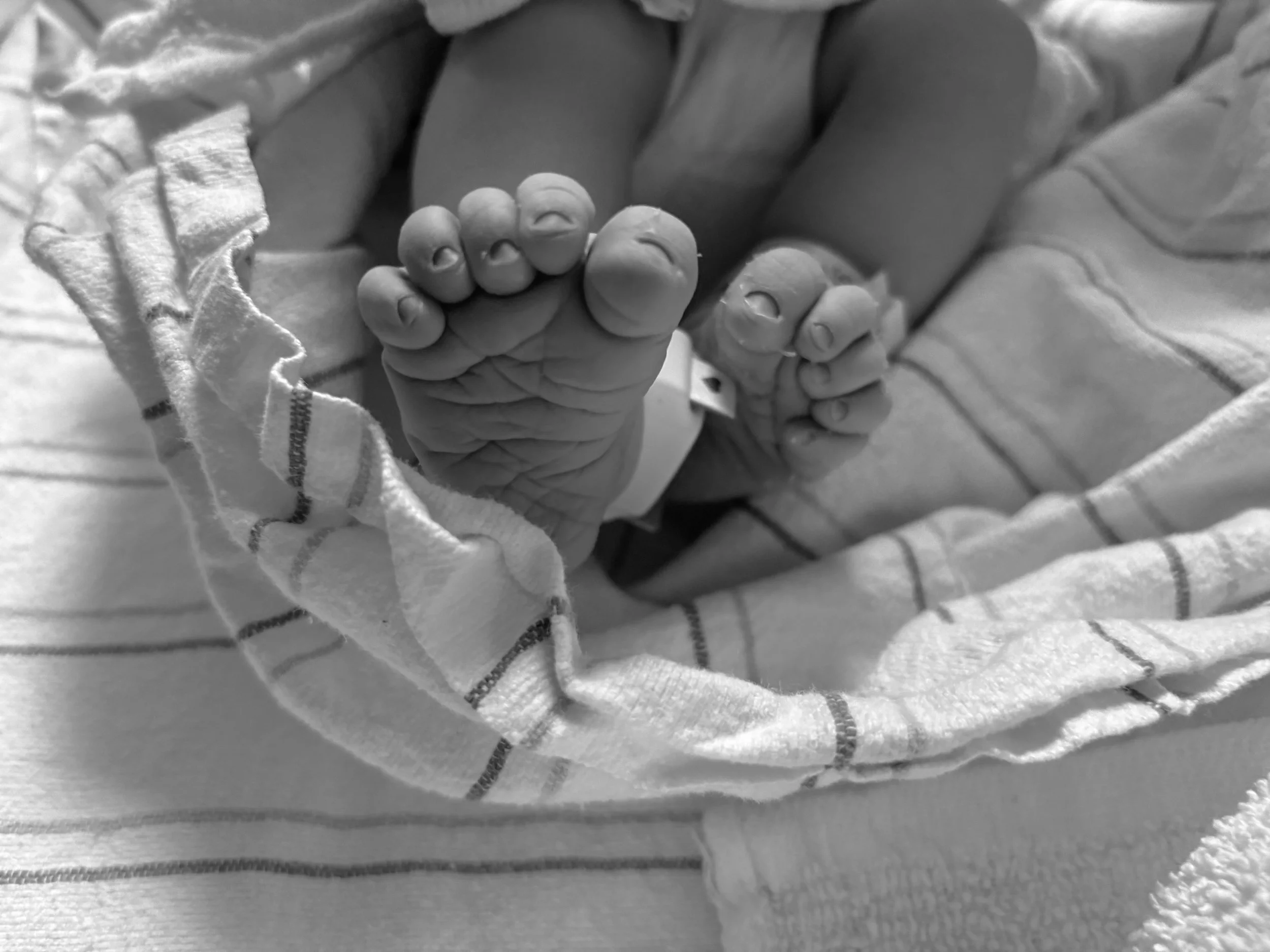 Close-up of an infant's tiny feet wrapped in a cloth blanket.