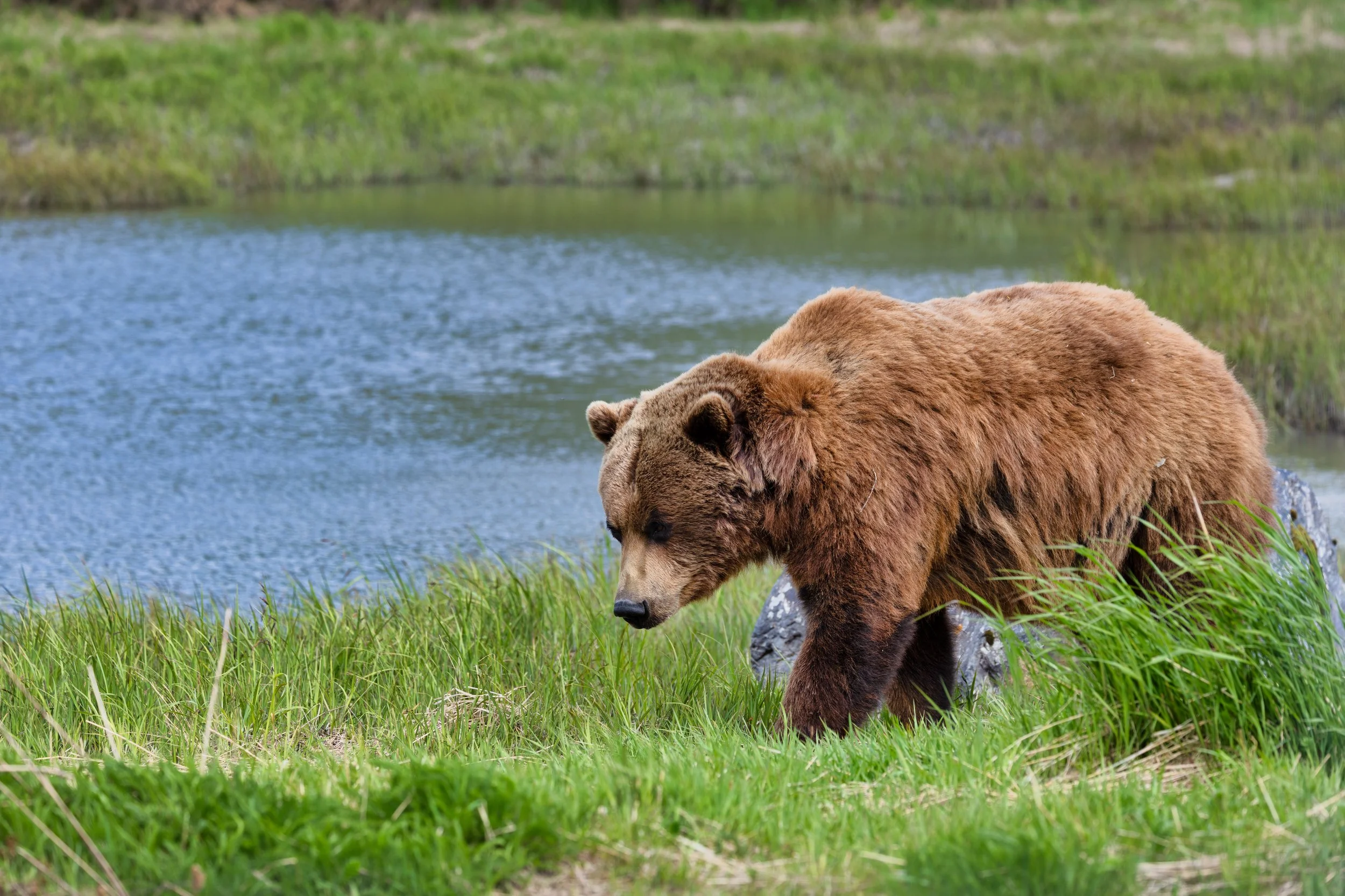 A82A4703-Edit.jpg