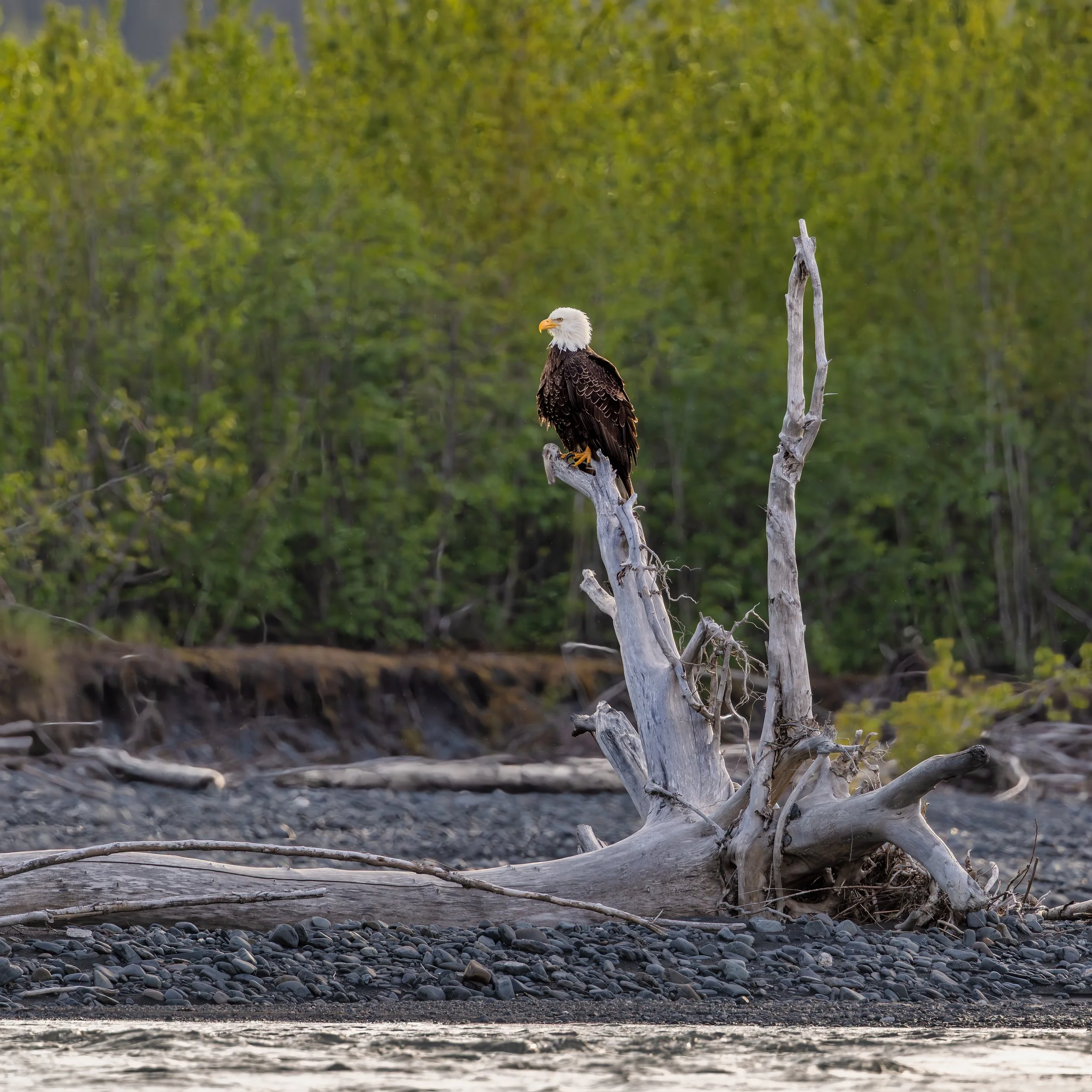 A82A4532-Edit-2.jpg
