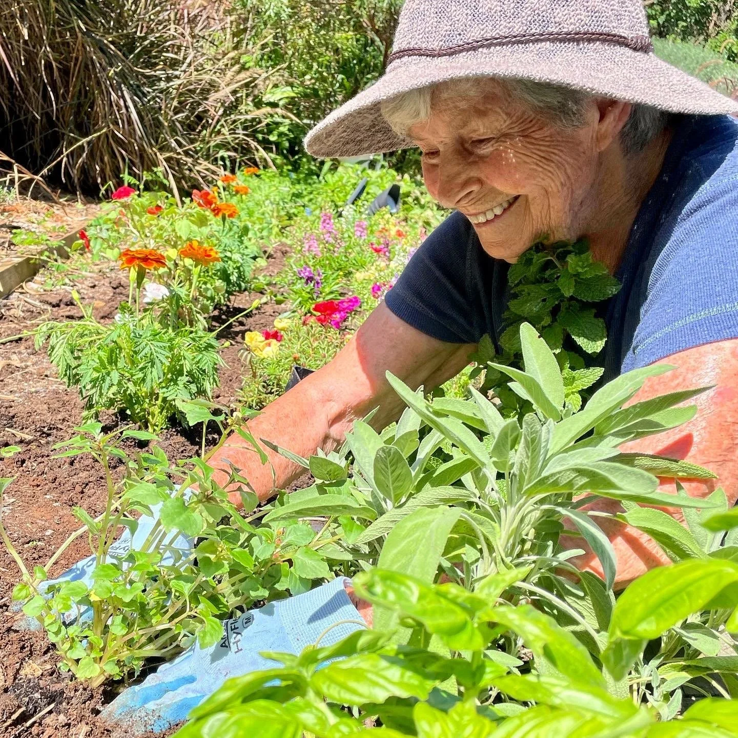 Ikigai – A Reason For Living