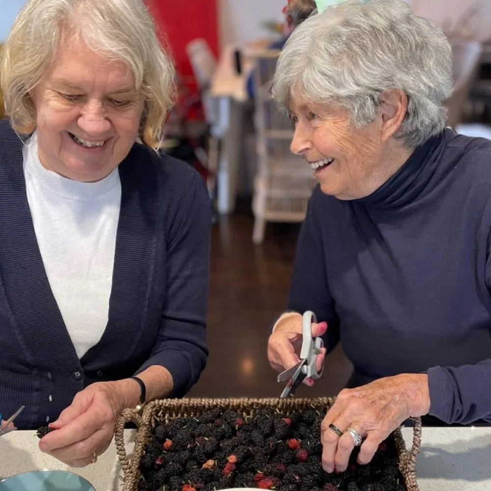 Habilitation and Dementia: Enhancing Lives with Empathy and Support