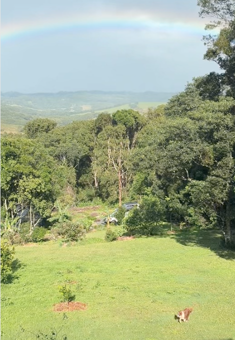 Winter in Byron Hinterland