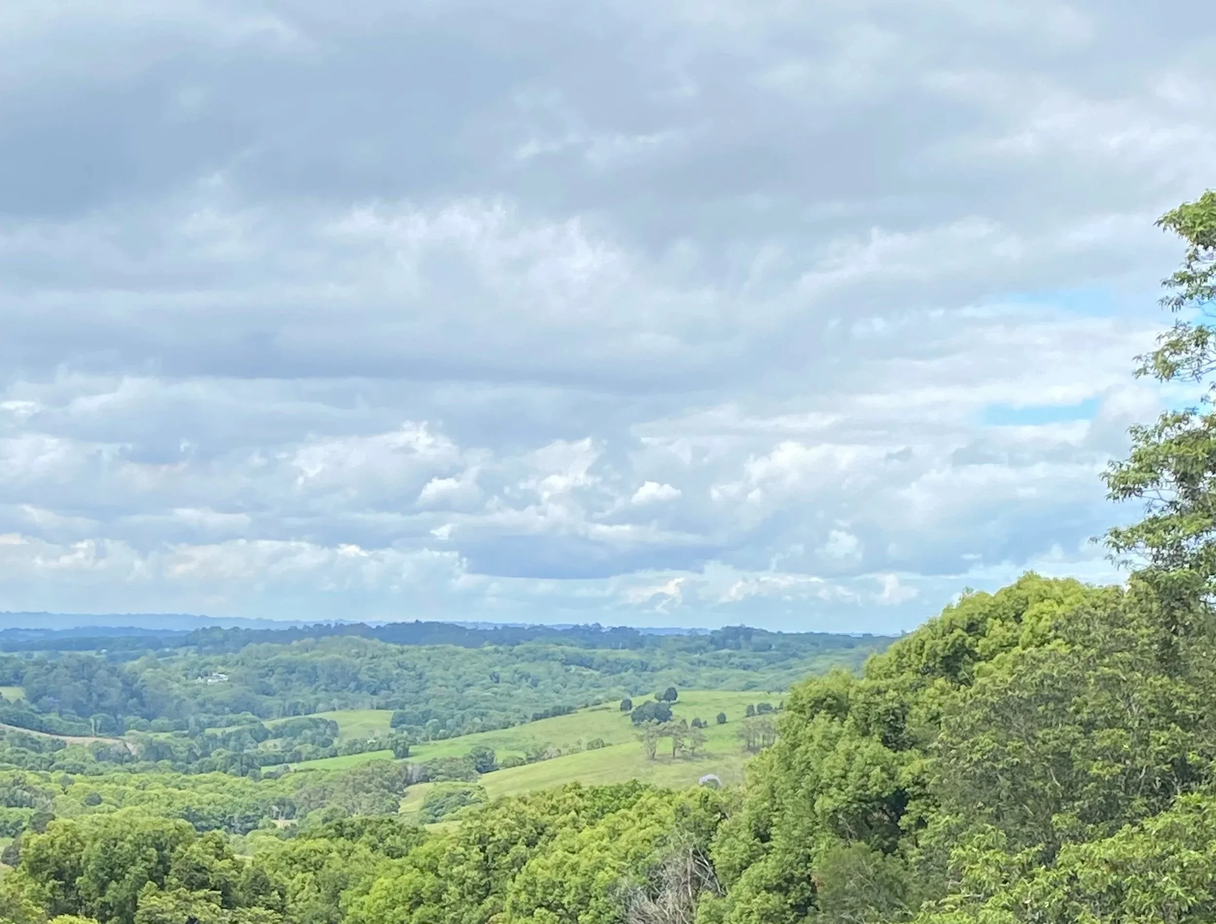 A scenic view of green rolling hills and lush trees under a cloudy sky.
