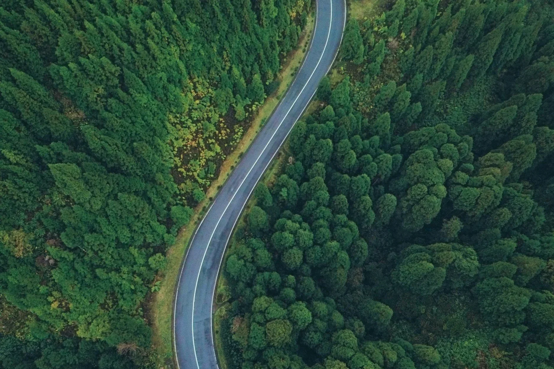 Alternative Medicine White Label Providers – What You Need to Know