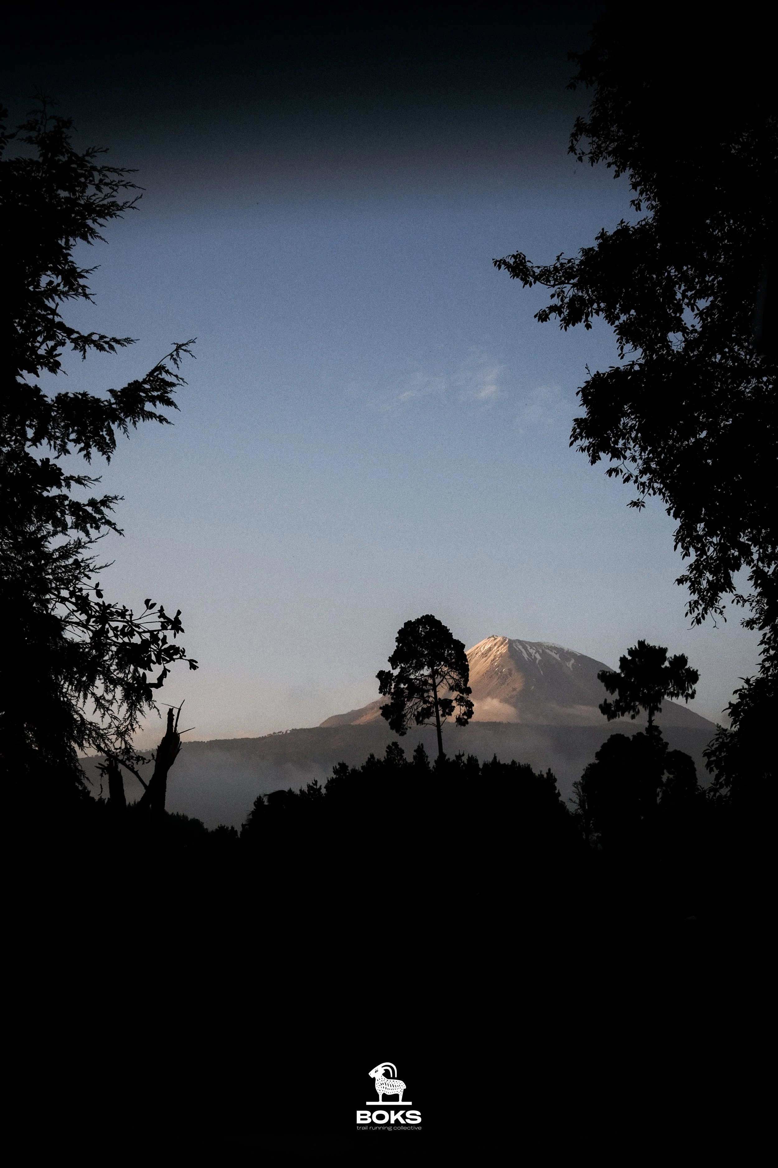 Vol.4 BOKS x Nnormal Camp