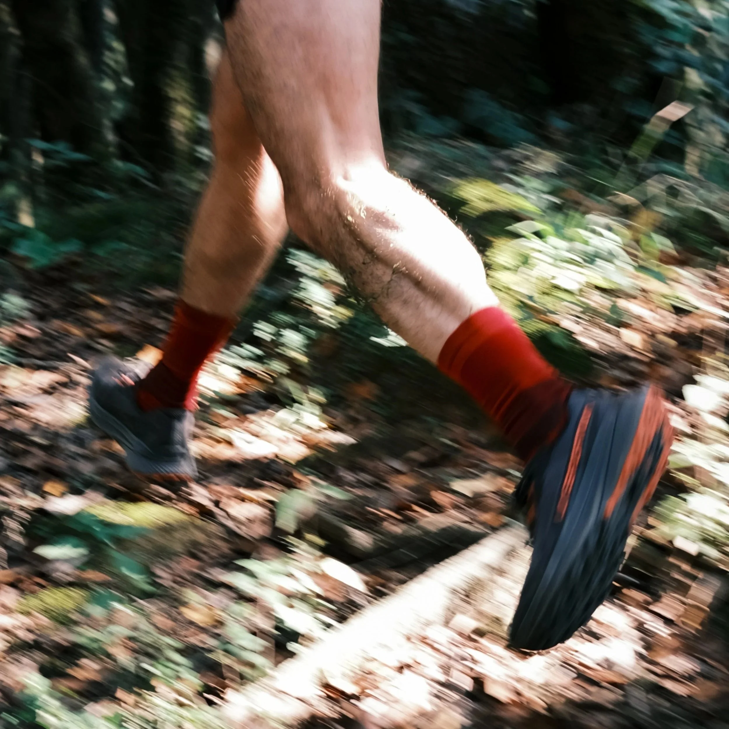 WeekendRun.Ed30 – Desierto