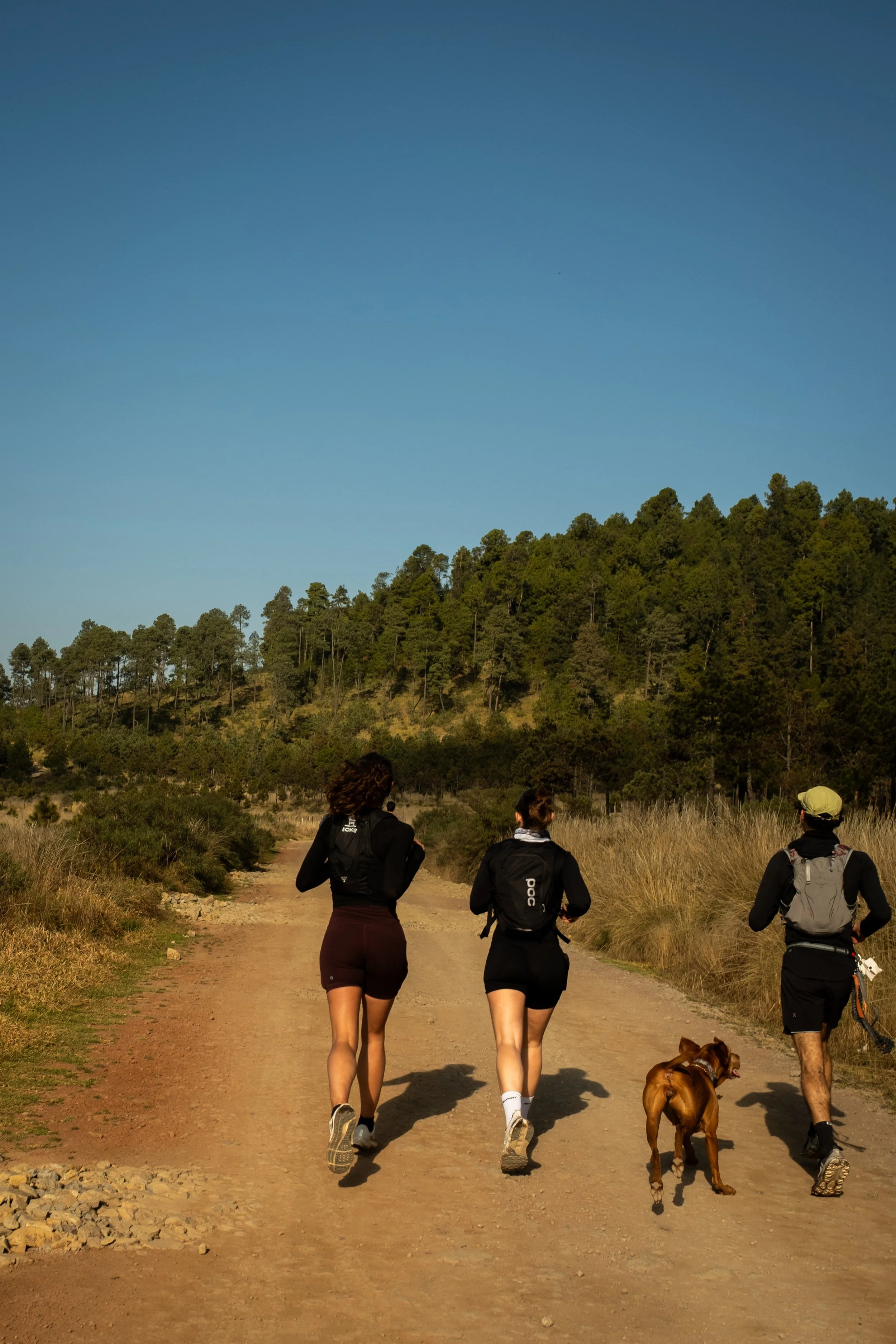 WeekendRun.Ed36 – Desierto