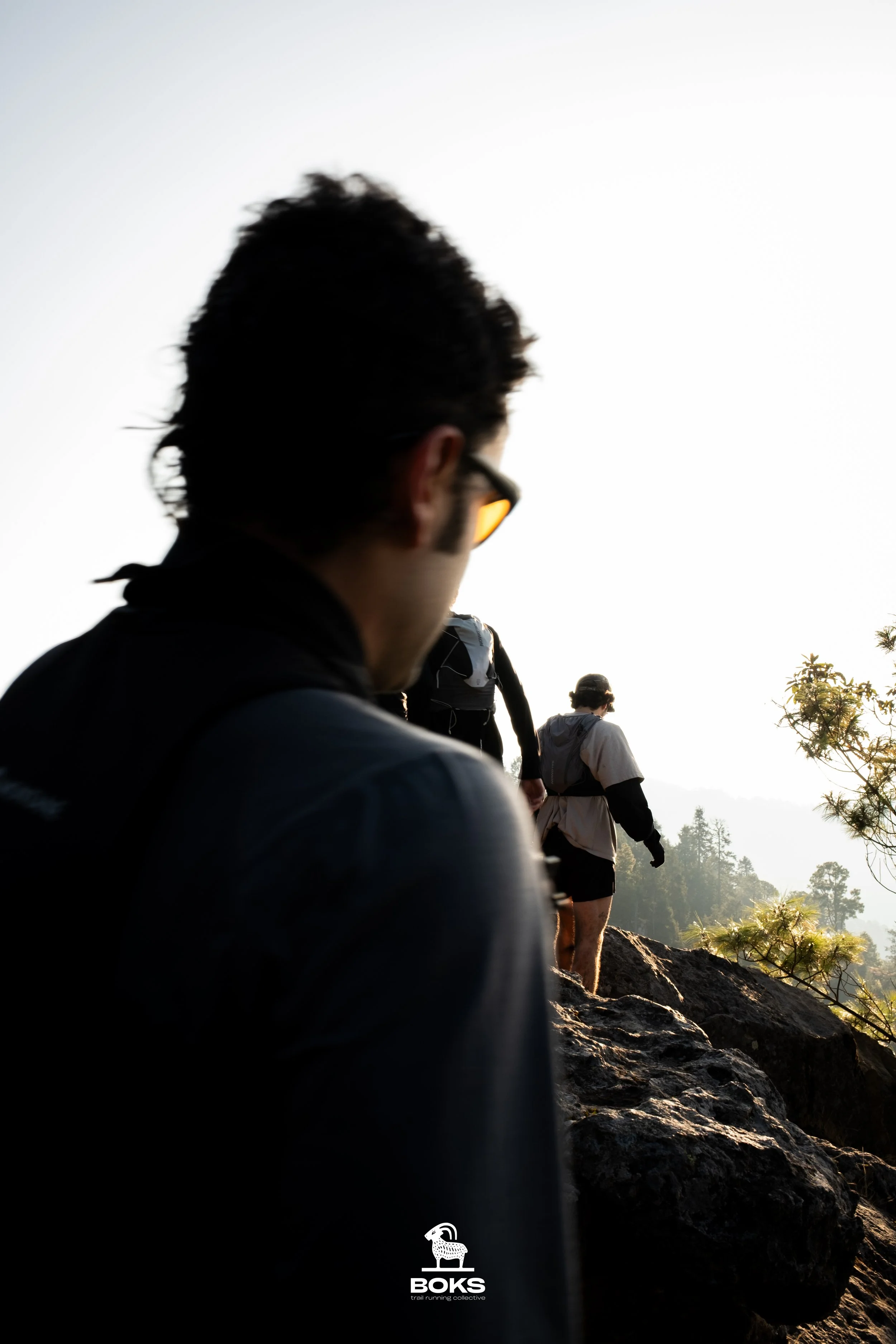 Grupo de personas haciendo trail running al amanecer, con un paisaje de árboles en el fondo y el sol brillante.