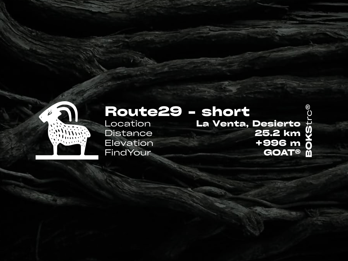 Route29 - short