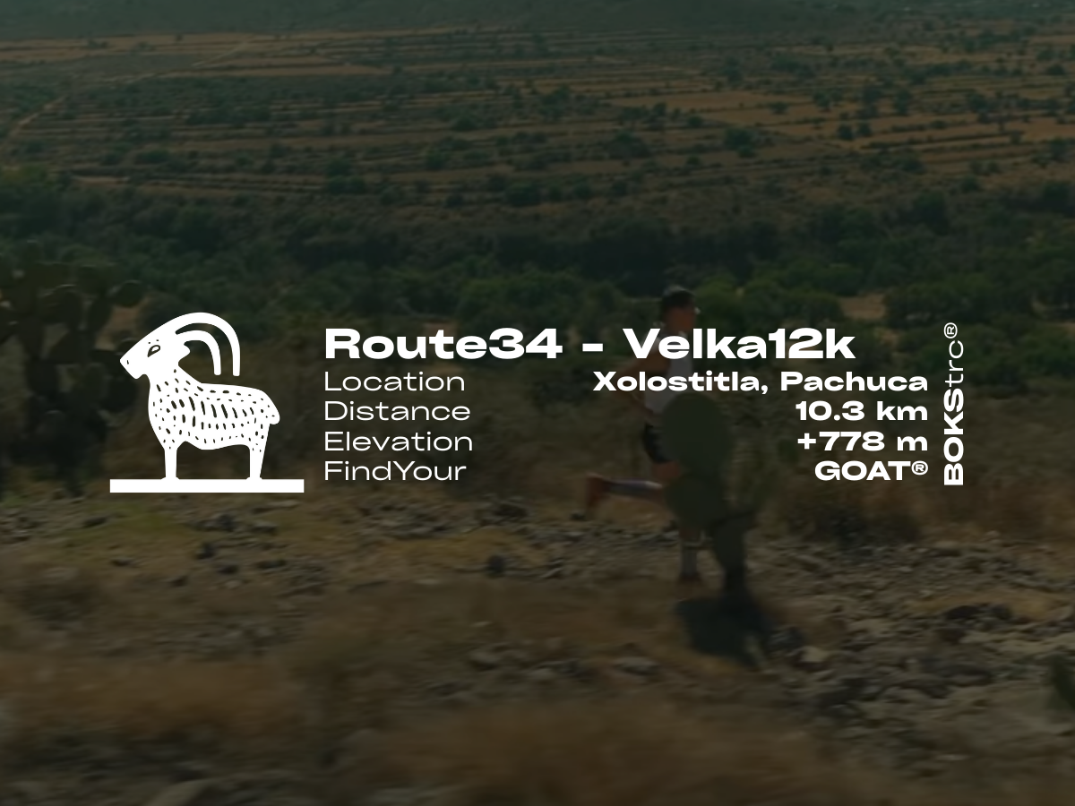 Route34 - Velka12k