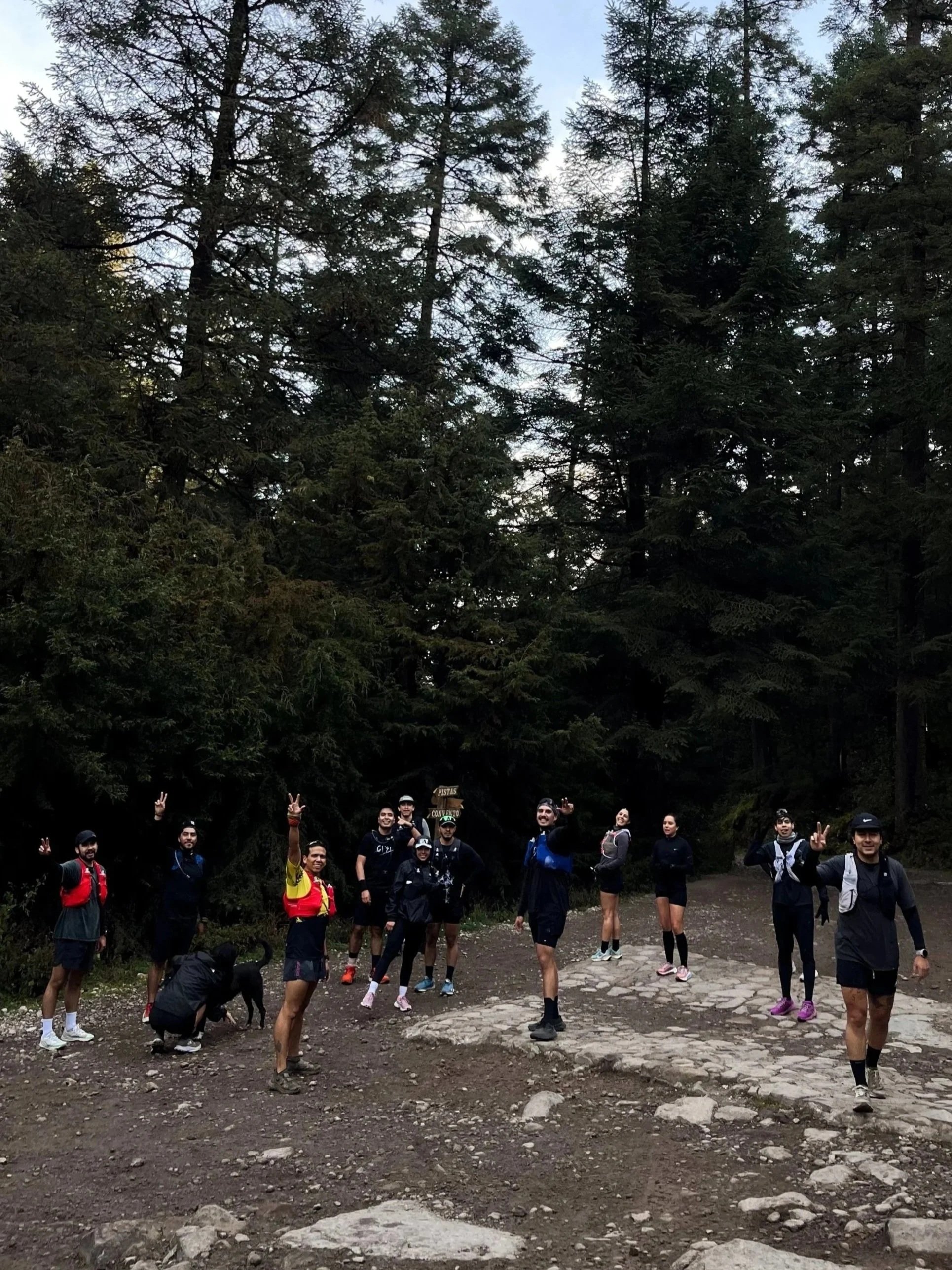 Grupo de personas caminando y descansando en un sendero en un bosque de árboles altos y verdes.