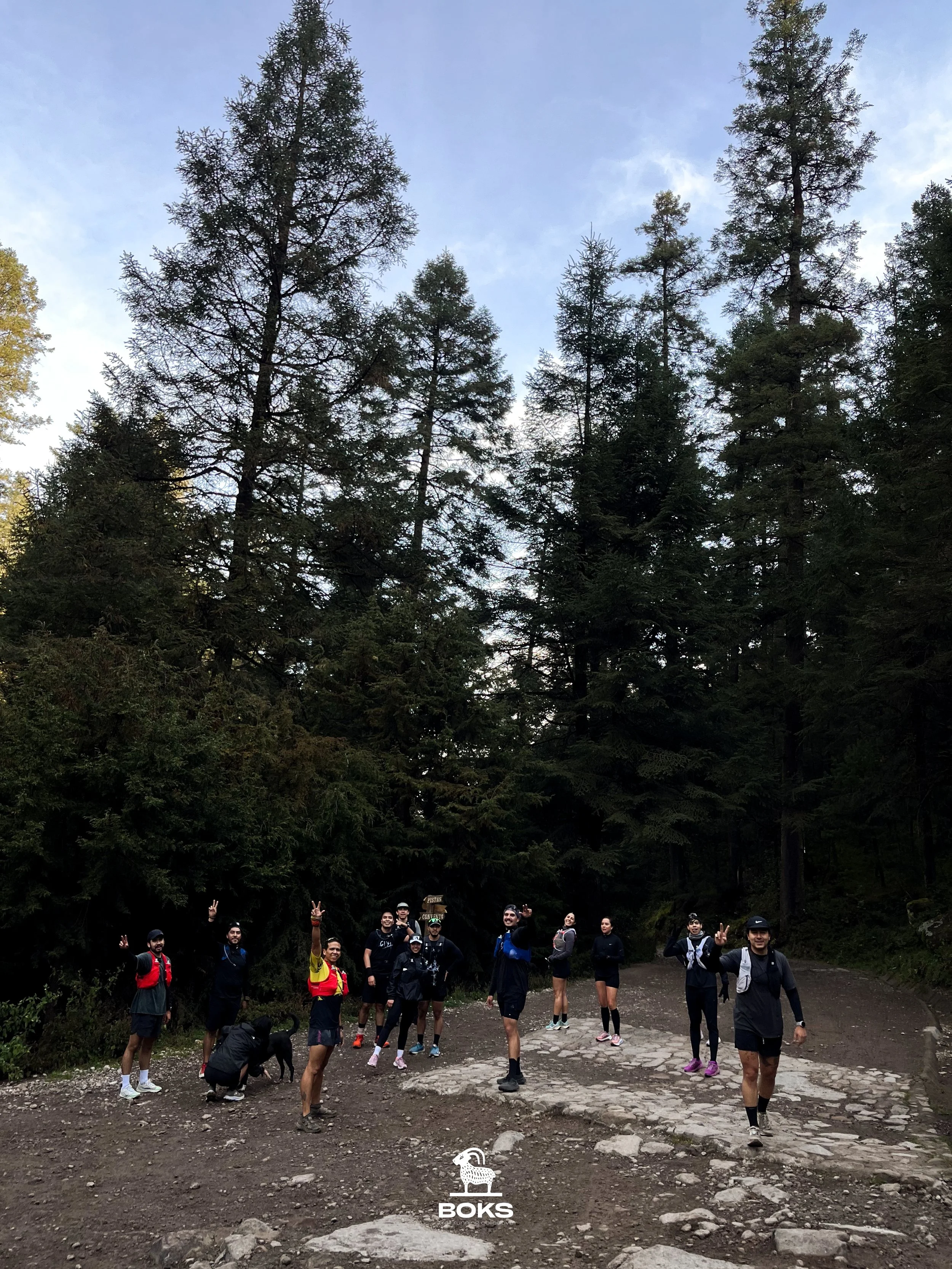 Grupo de personas en un sendero de bosque, algunos haciendo señal de victoria con las manos, llevan ropa deportiva y mochilas, con árboles altos y cielo despejado de fondo.