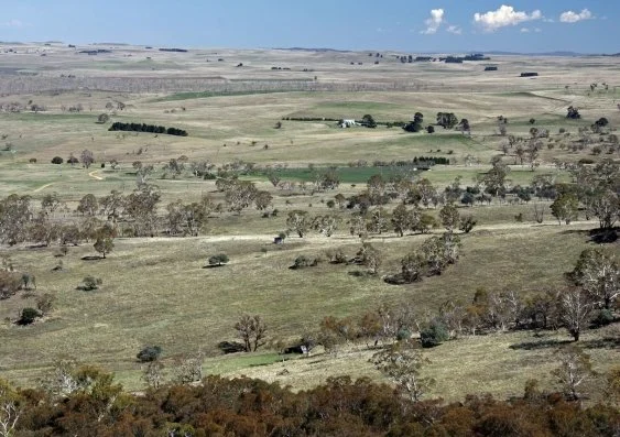 A vast open landscape with rolling hills, scattered trees, and a clear blue sky.