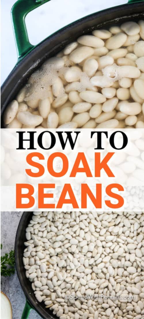 How-to-Soak-Beans-S-Pin-2-SpendWithPennies-500x1107.jpg