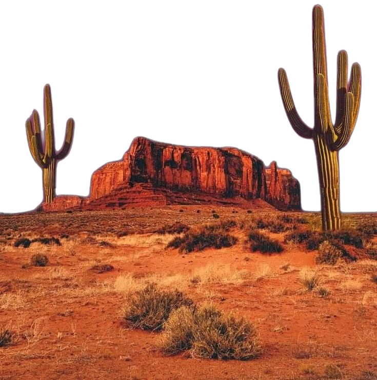 Desert landscape with two large cacti, a rock formation, and dry grass in the foreground.
