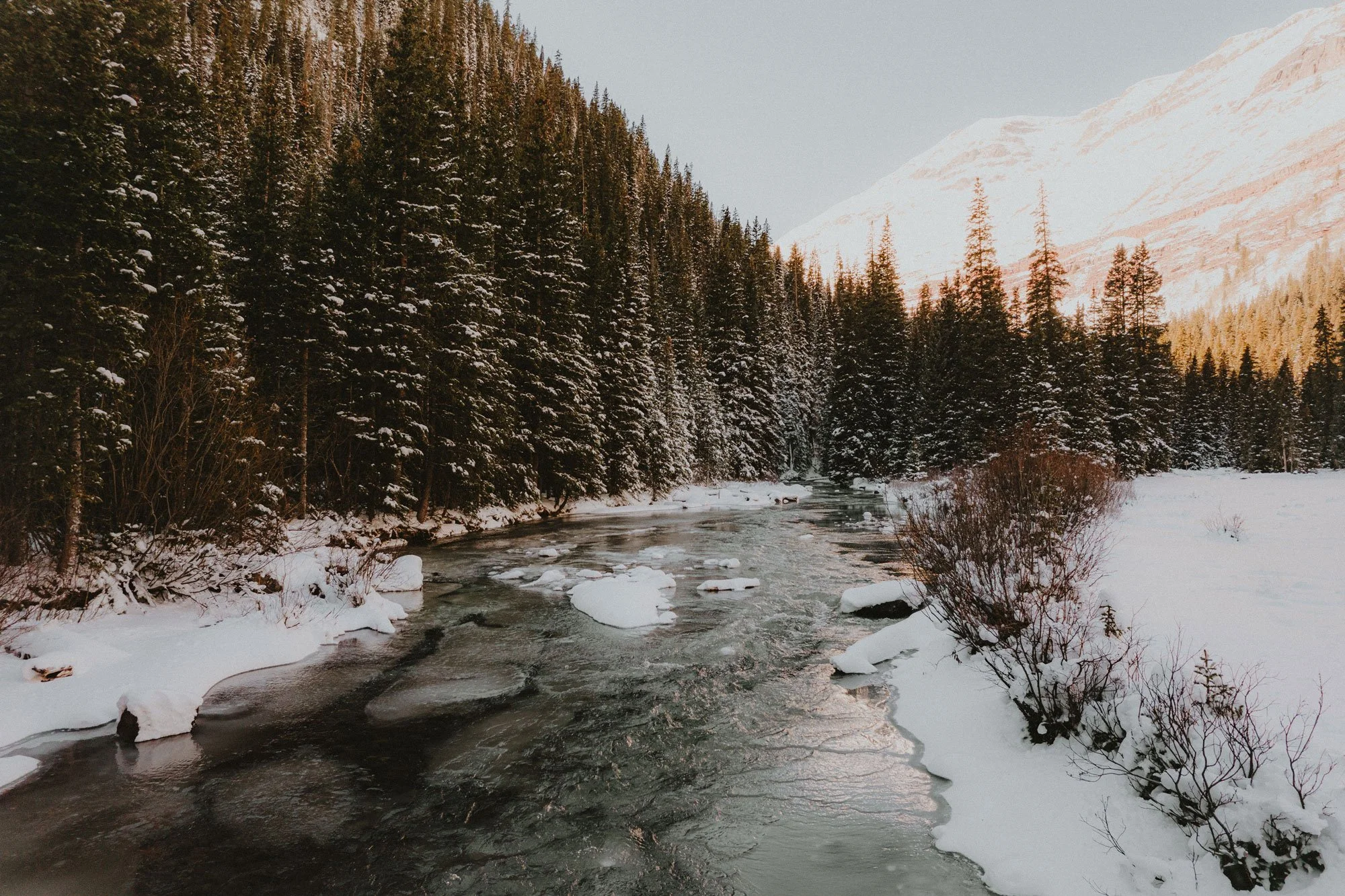 A snowy landscape with a partially frozen river running through a dense forest of evergreen trees, with snow-covered mountains in the background.