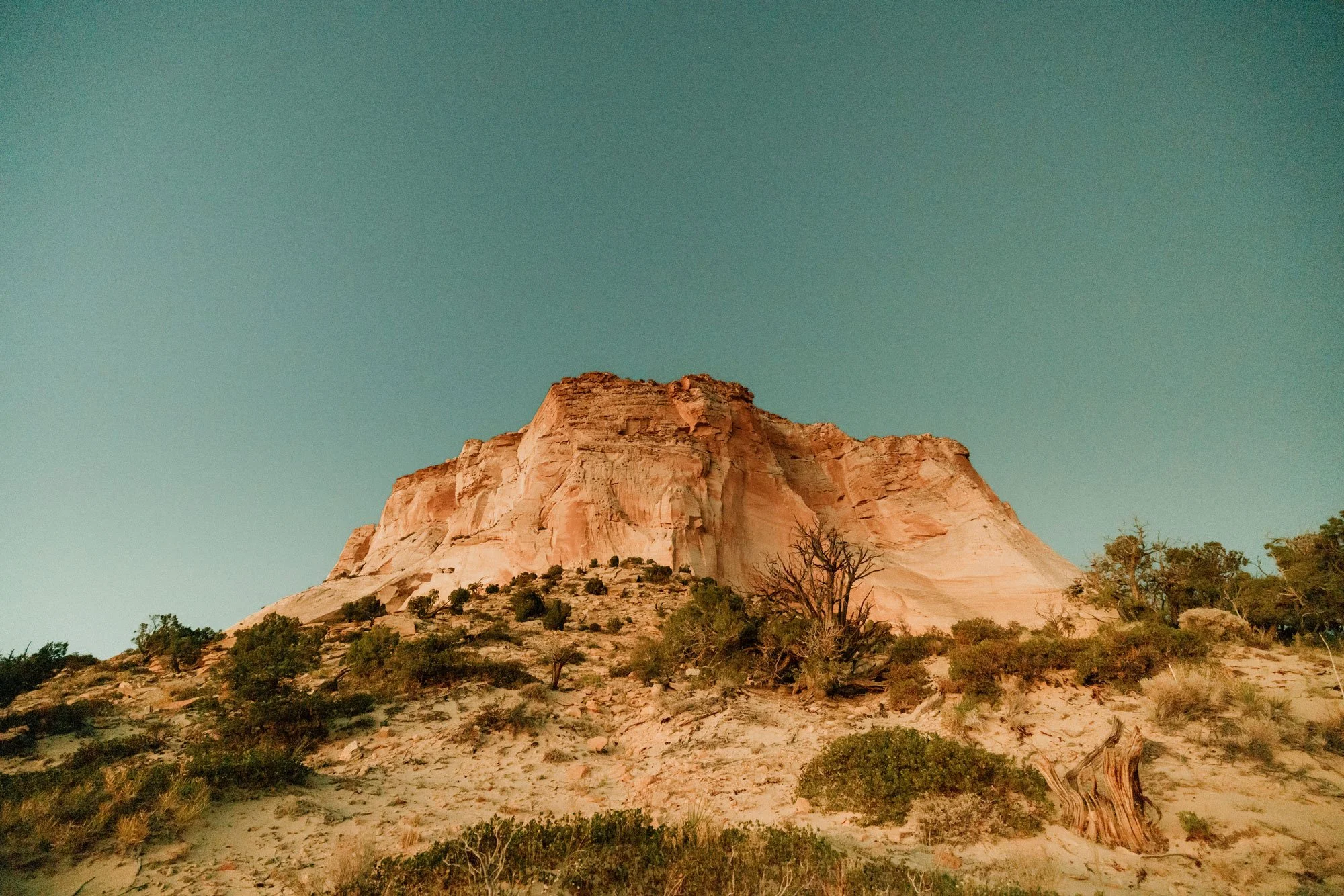 A desert landscape with a large, layered rock formation under a clear sky, with sparse bushes and small trees in the foreground.
