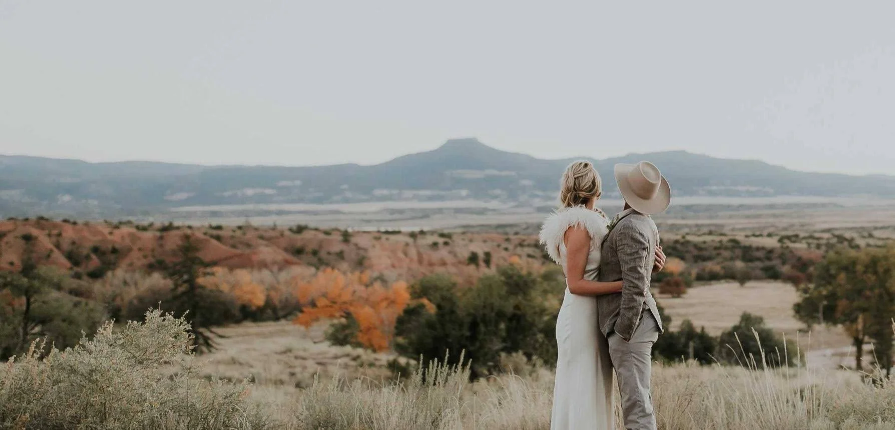 A bride and groom in wedding attire standing in a field, embracing each other, with a scenic landscape of rolling hills and trees in the background.