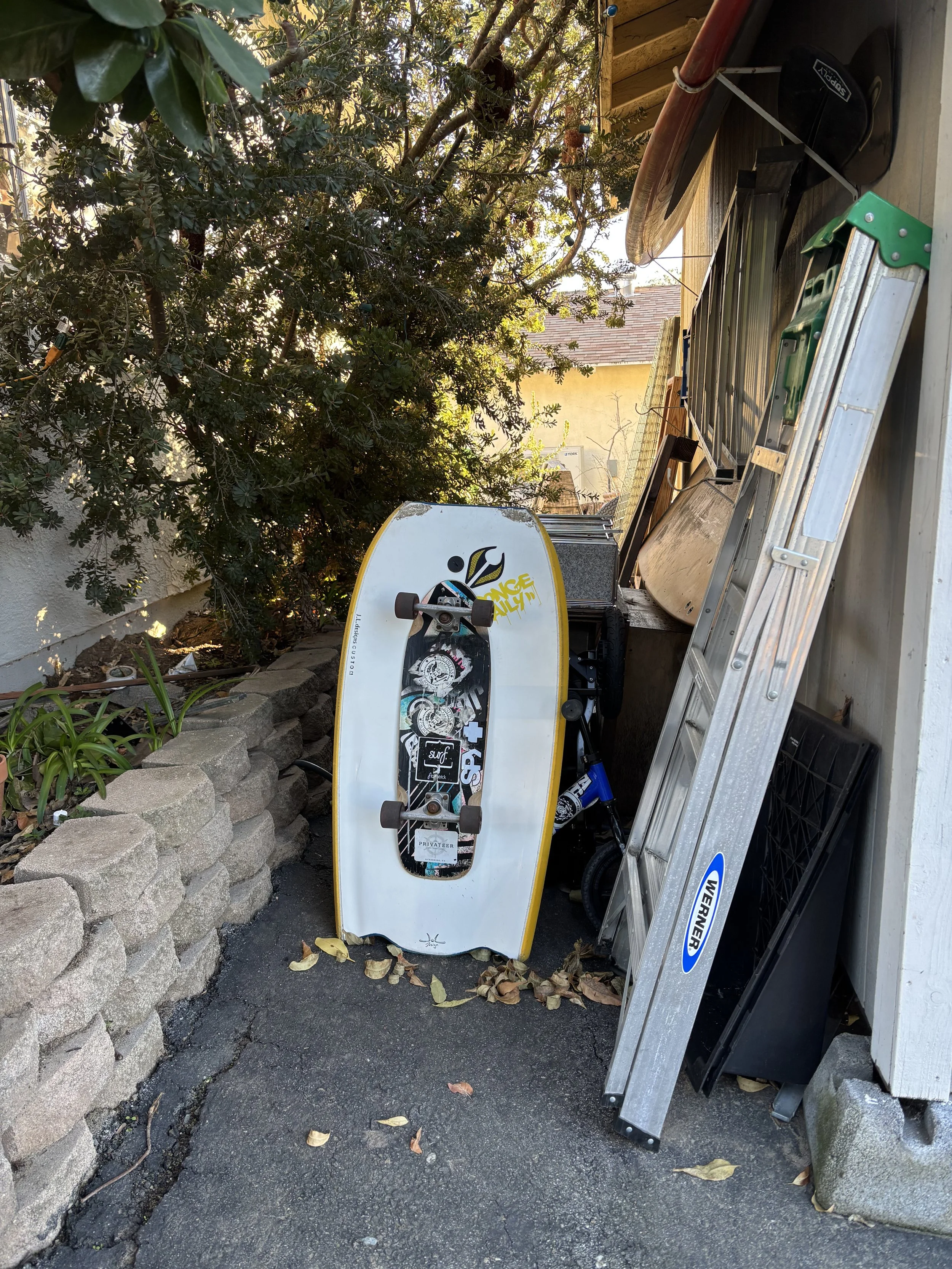 Yard Clean-Up in Vista, CA