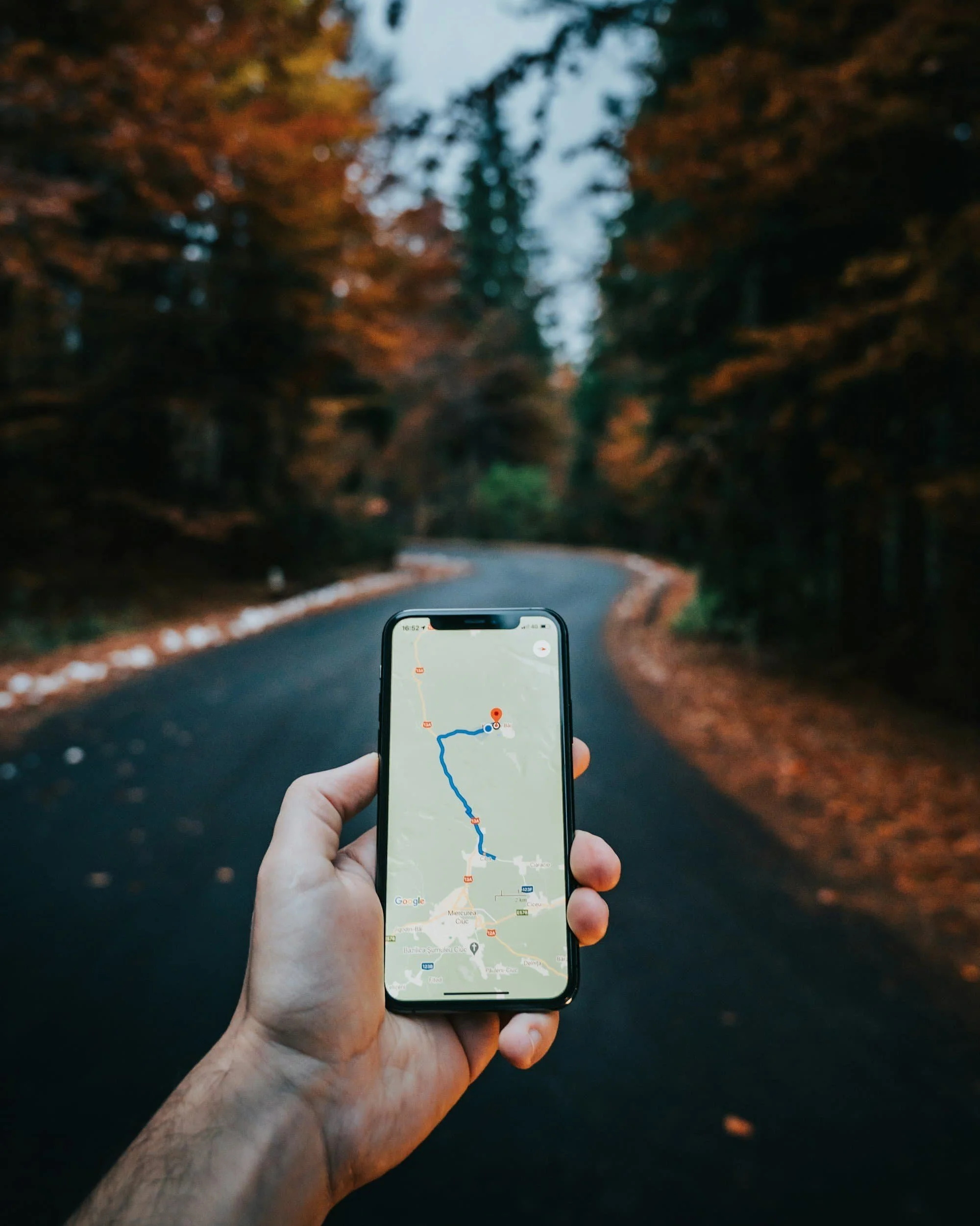Hand holding a smartphone with a GPS map, standing on a winding road lined with trees displaying autumn foliage.