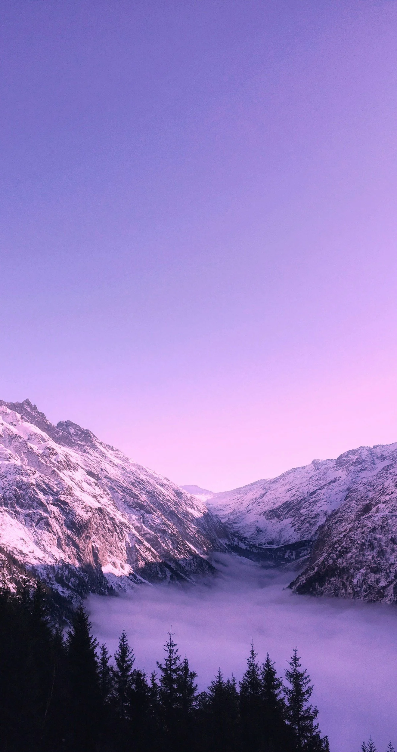 Snow-covered mountains with a valley filled with fog and a forest of pine trees in the foreground, under a purple and blue sky.