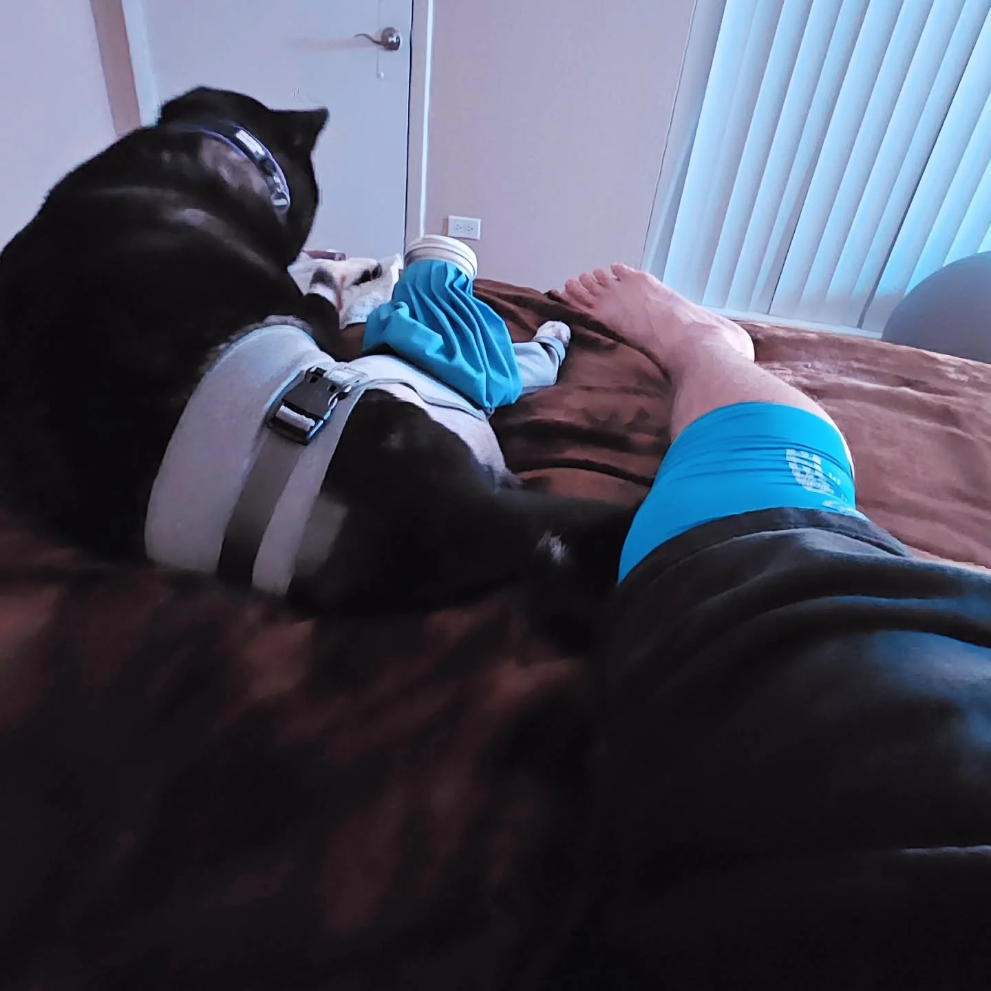 We're icing our arthritic knees together ❤️ #likefatherlikeson #arthritis #badknees