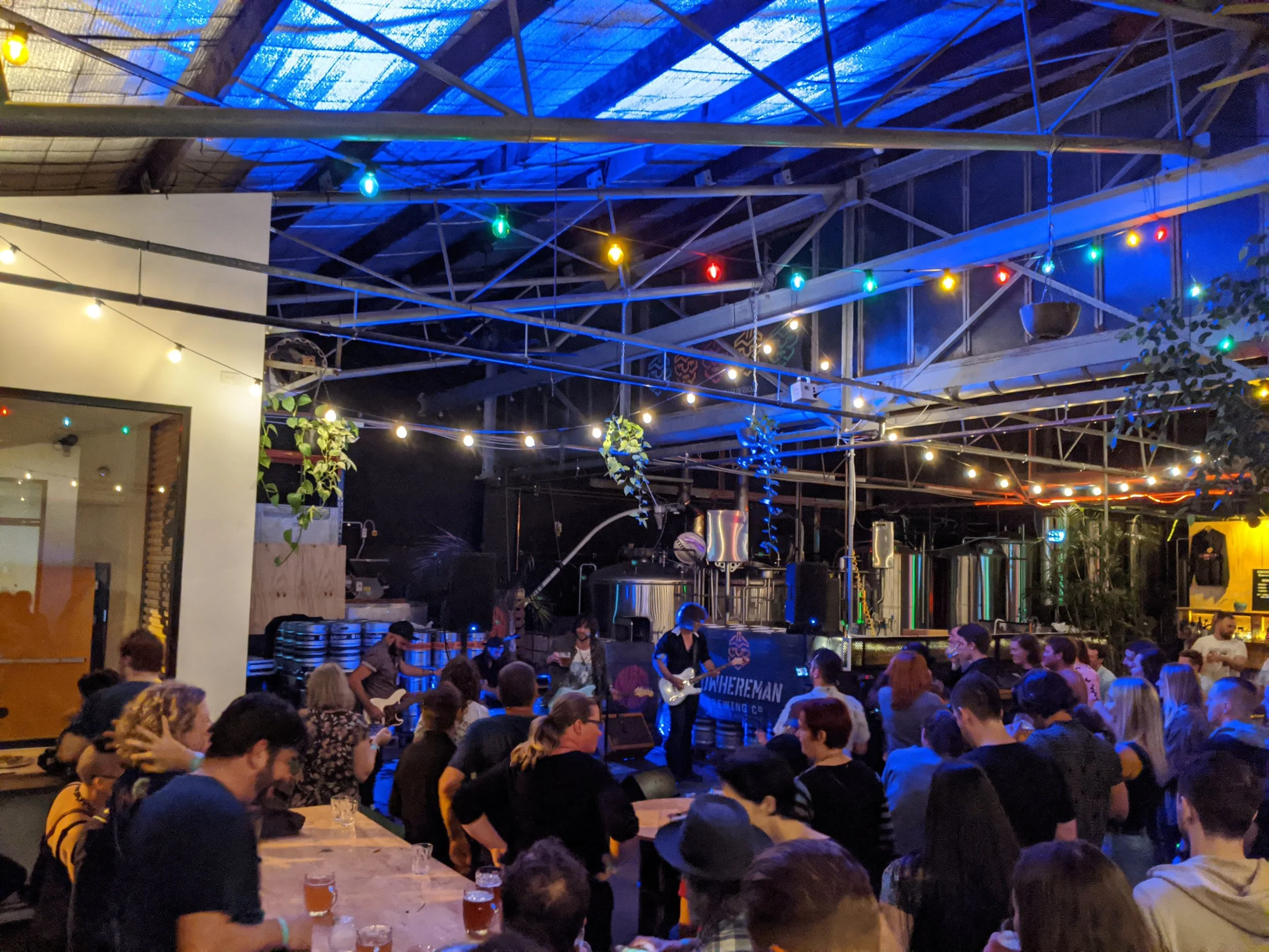 Live music performance at a brewery with a crowd enjoying drinks and colorful string lights overhead.