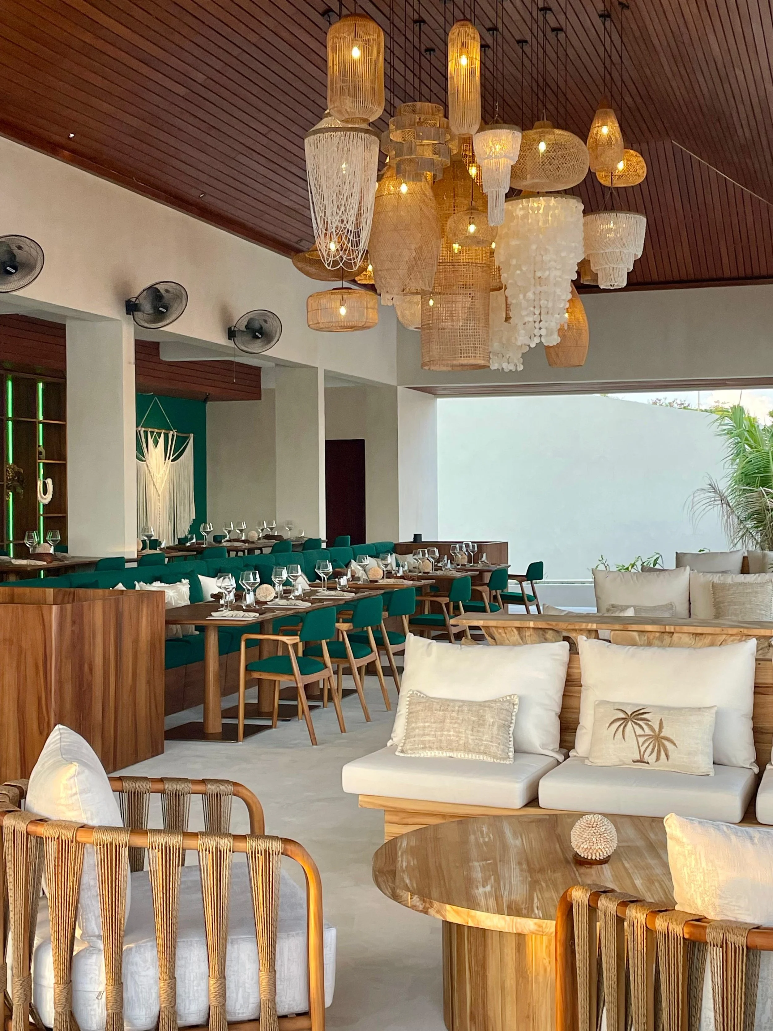 WhatsApp Image 2025-12-16 at 12.36.35.jpeg