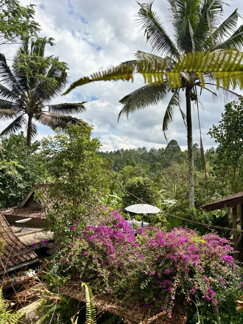 Niente Bali