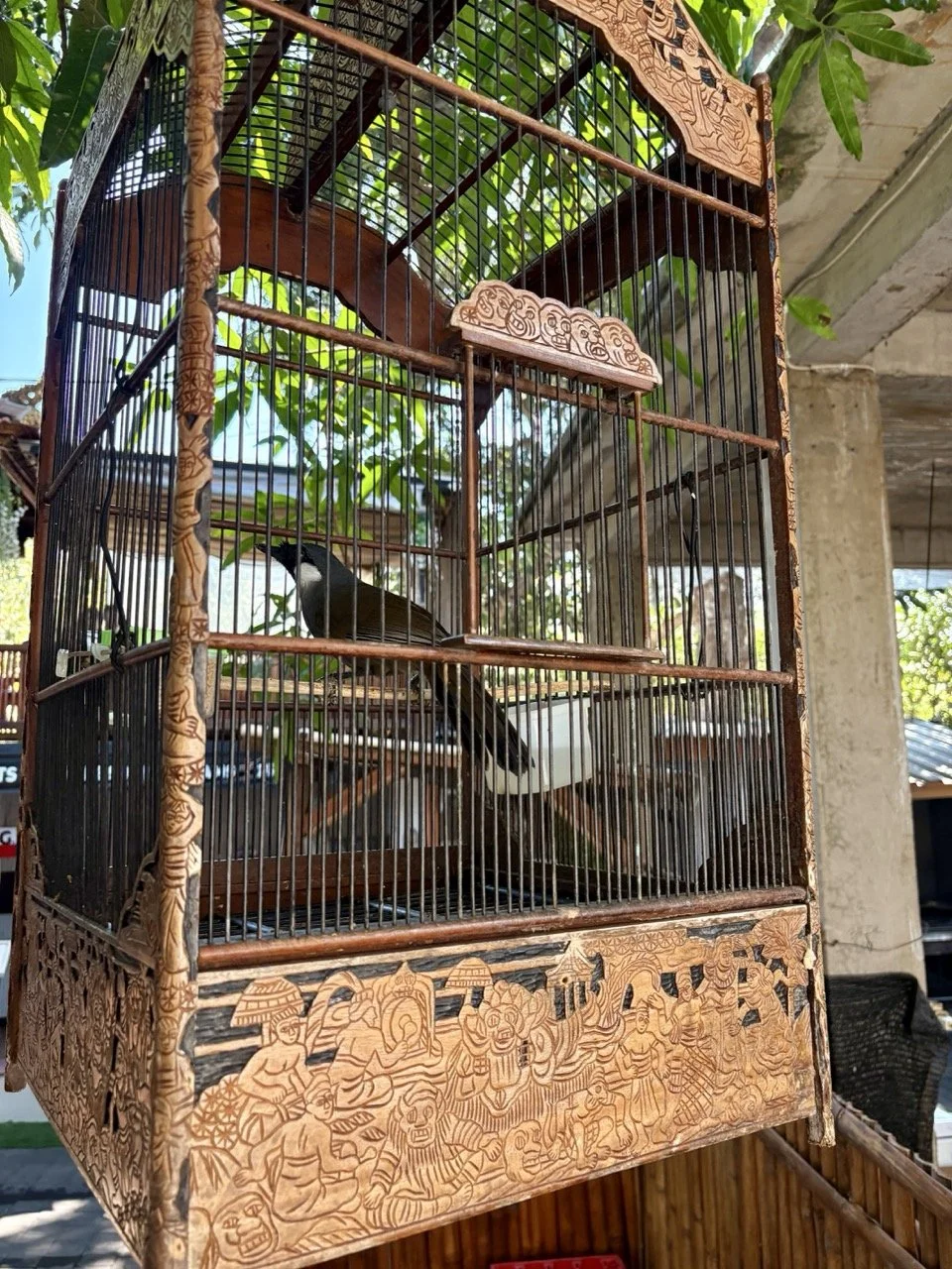 Lucky-Fish-Bali.jpeg
