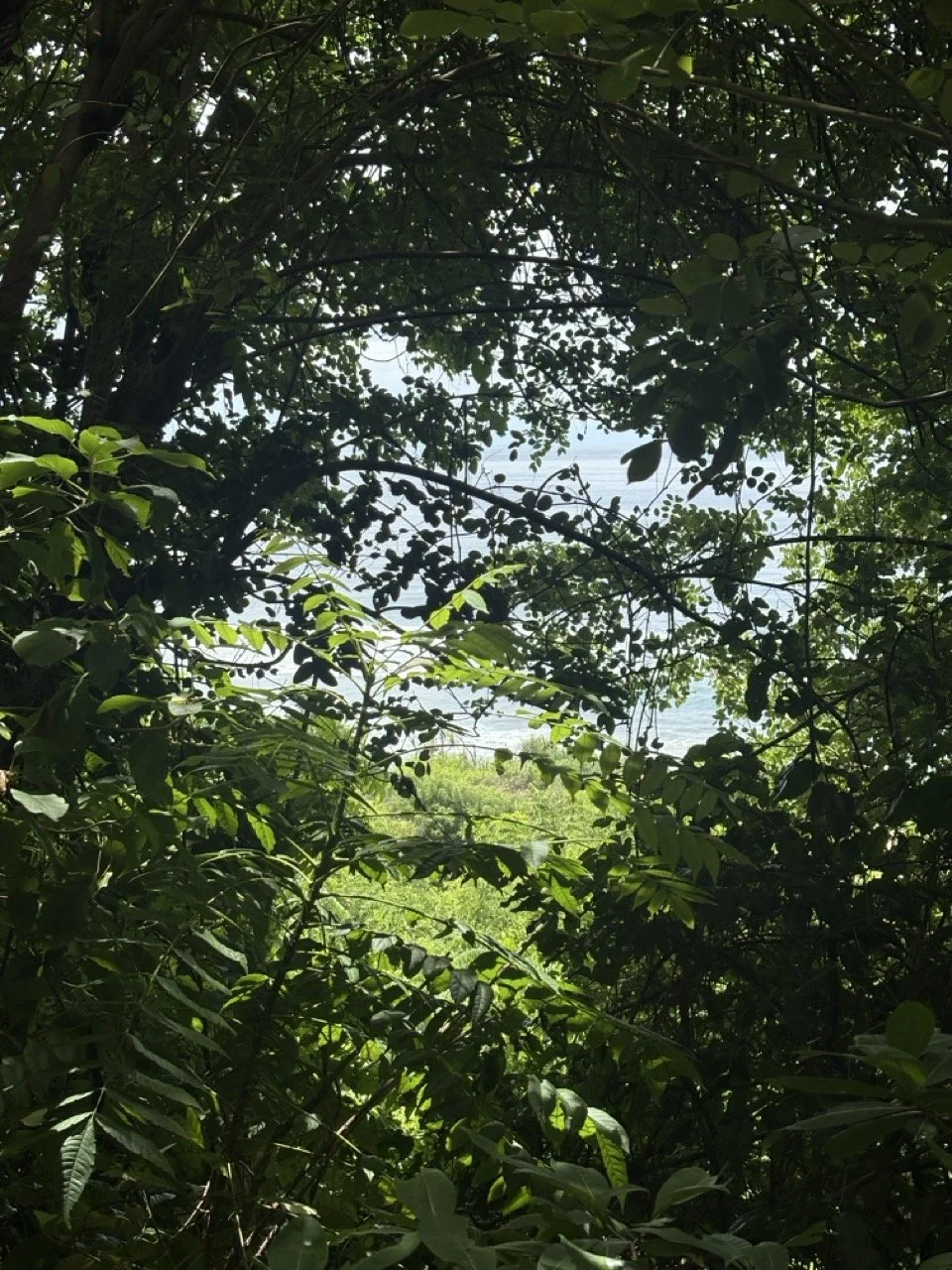 pantai-nunggalan-vro3146.jpeg