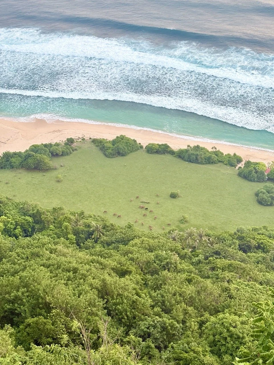 pantai-nunggalan-vro3867.jpeg