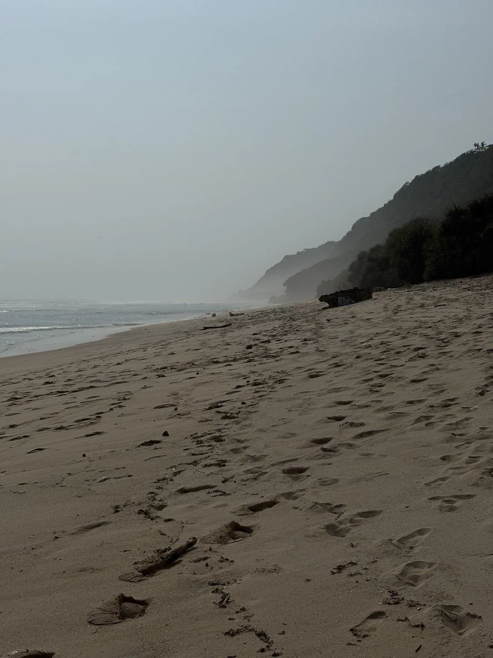 pantai-nunggalan-vro5254.jpeg