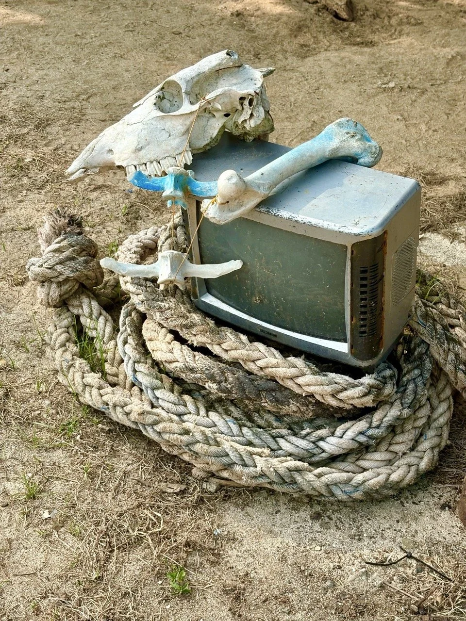 pantai-nunggalan-vro8949.jpeg