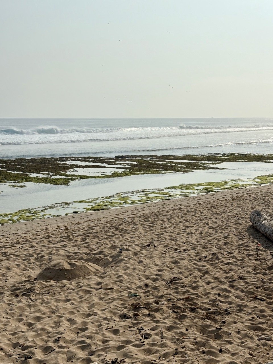 pantai-nunggalan-vro8967.jpeg