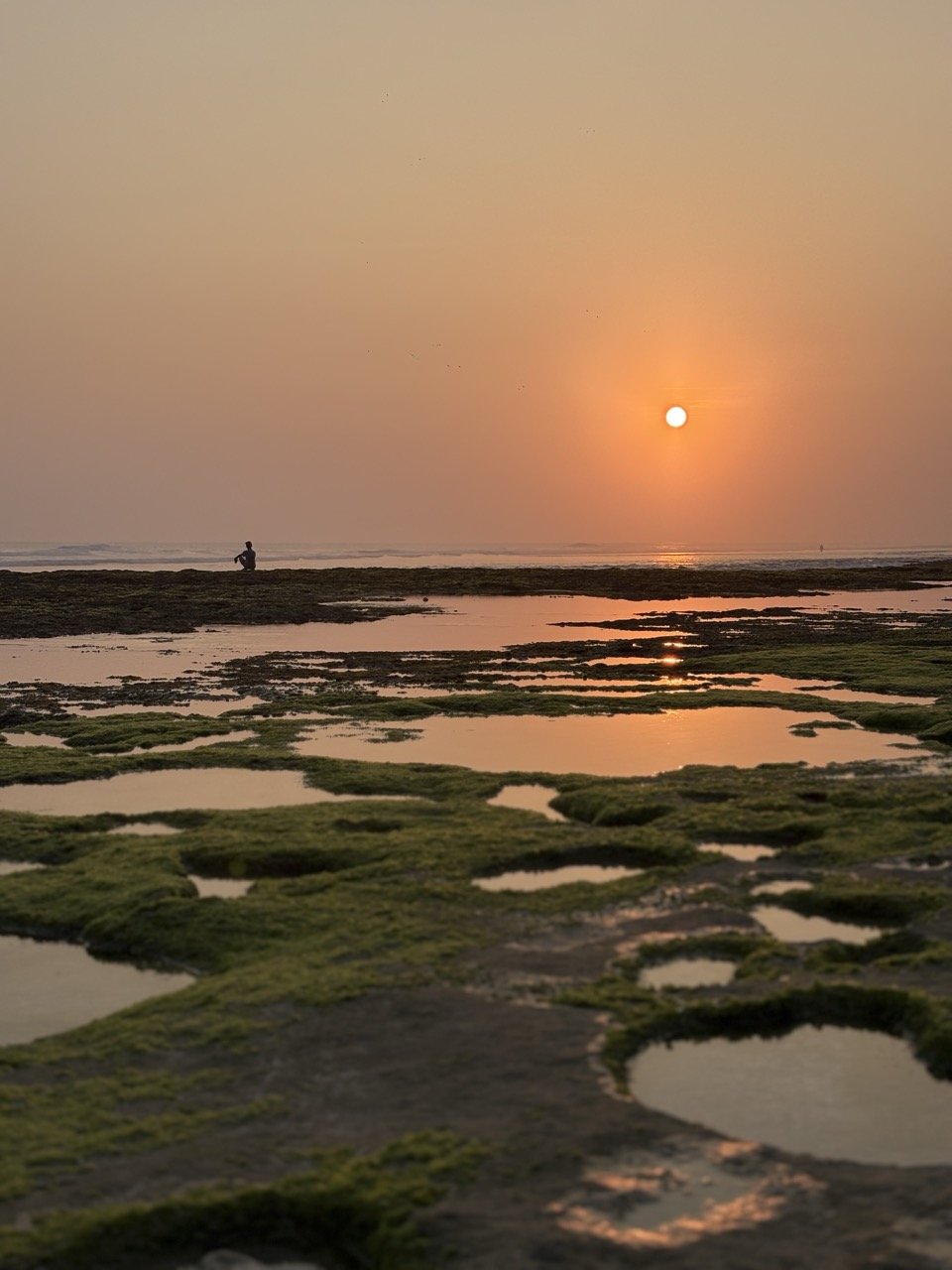 pantai-nunggalan-vro8991.jpeg