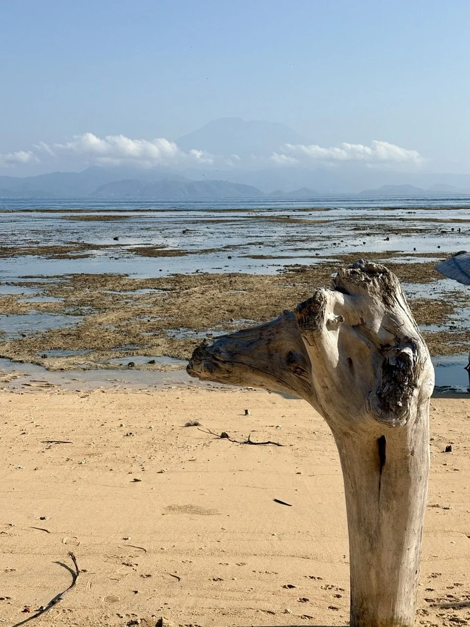 agung-beach-club-by-vro-9150.jpeg
