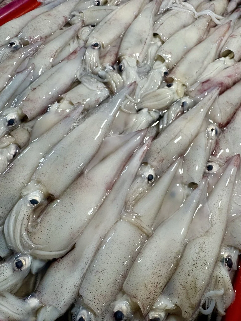 kedonganan-fish-market-1.jpeg